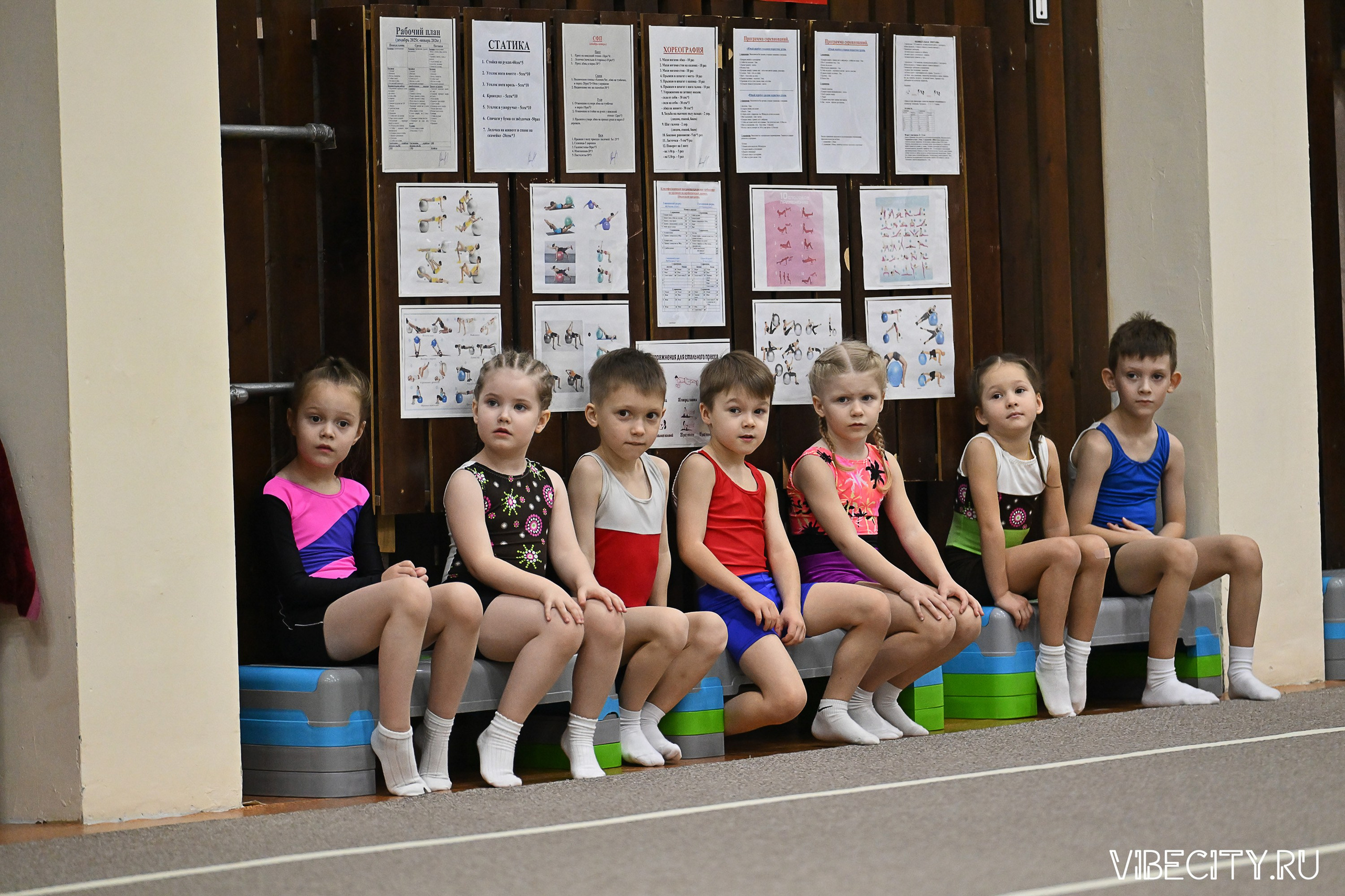 Контрольная тренировка по спортивной гимнастике. VIBECITY.RU Вайб Сити Ру Фоторепортажи Фотоотчеты Калининград