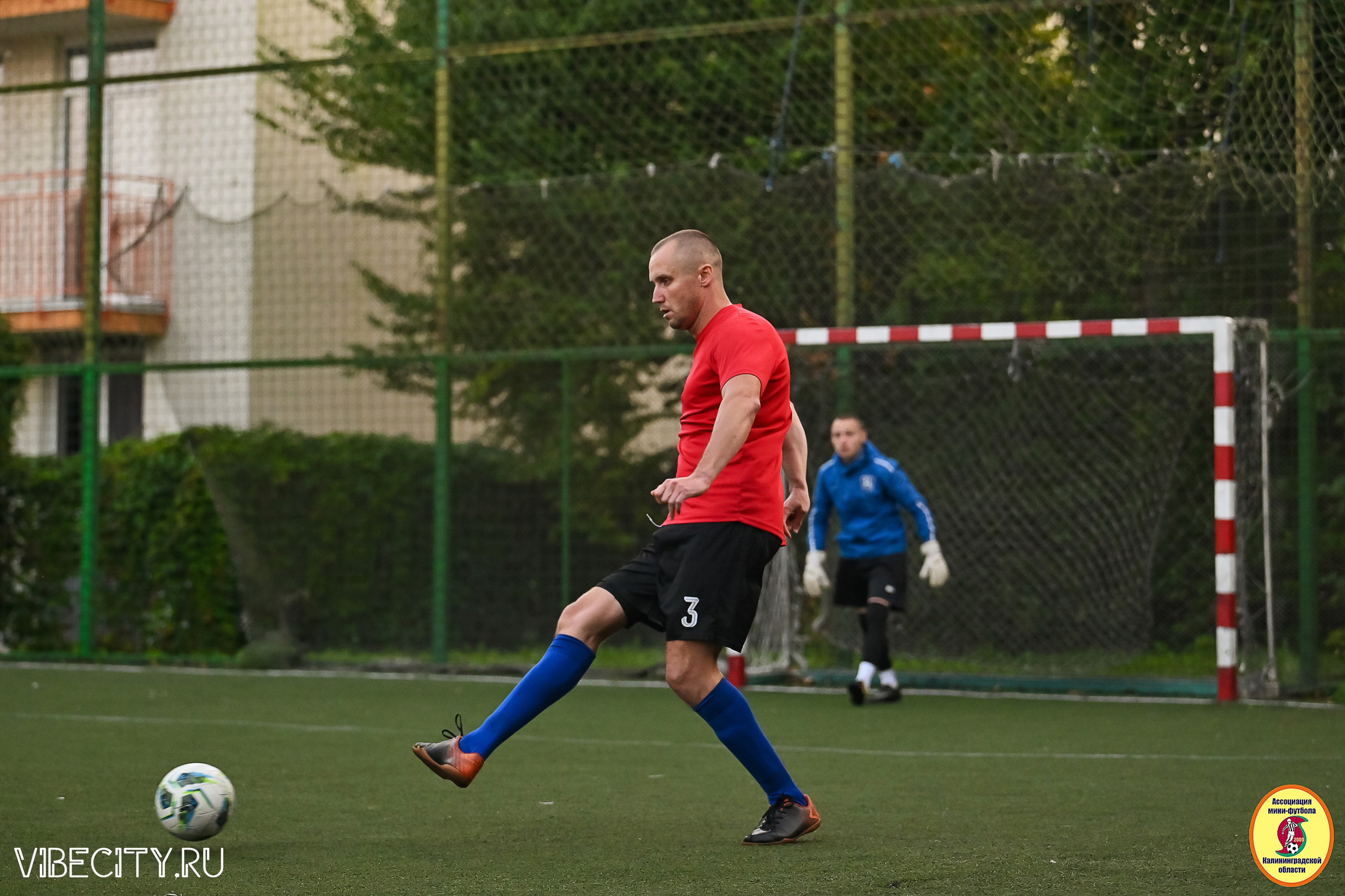 ИГРЫ ПЛЕЙ-ОФФ ПЕРВОГО ДИВИЗИОНА МИНИ-ФУТБОЛЬНОЙ ЛИГИ. VIBECITY.RU Вайб Сити Ру Фоторепортажи Фотоотчеты Калининград