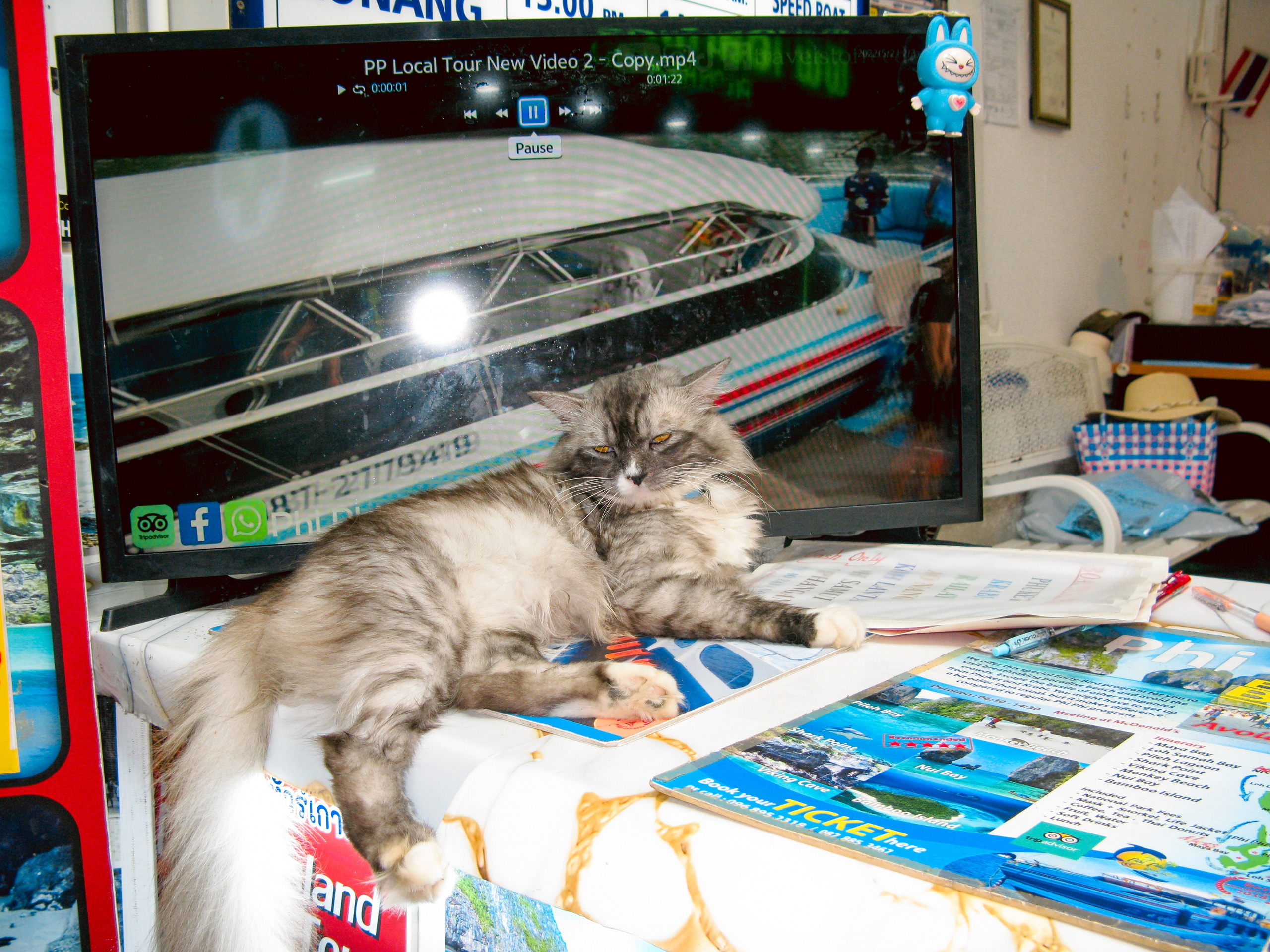 Thai. Фотограф Миланазавр