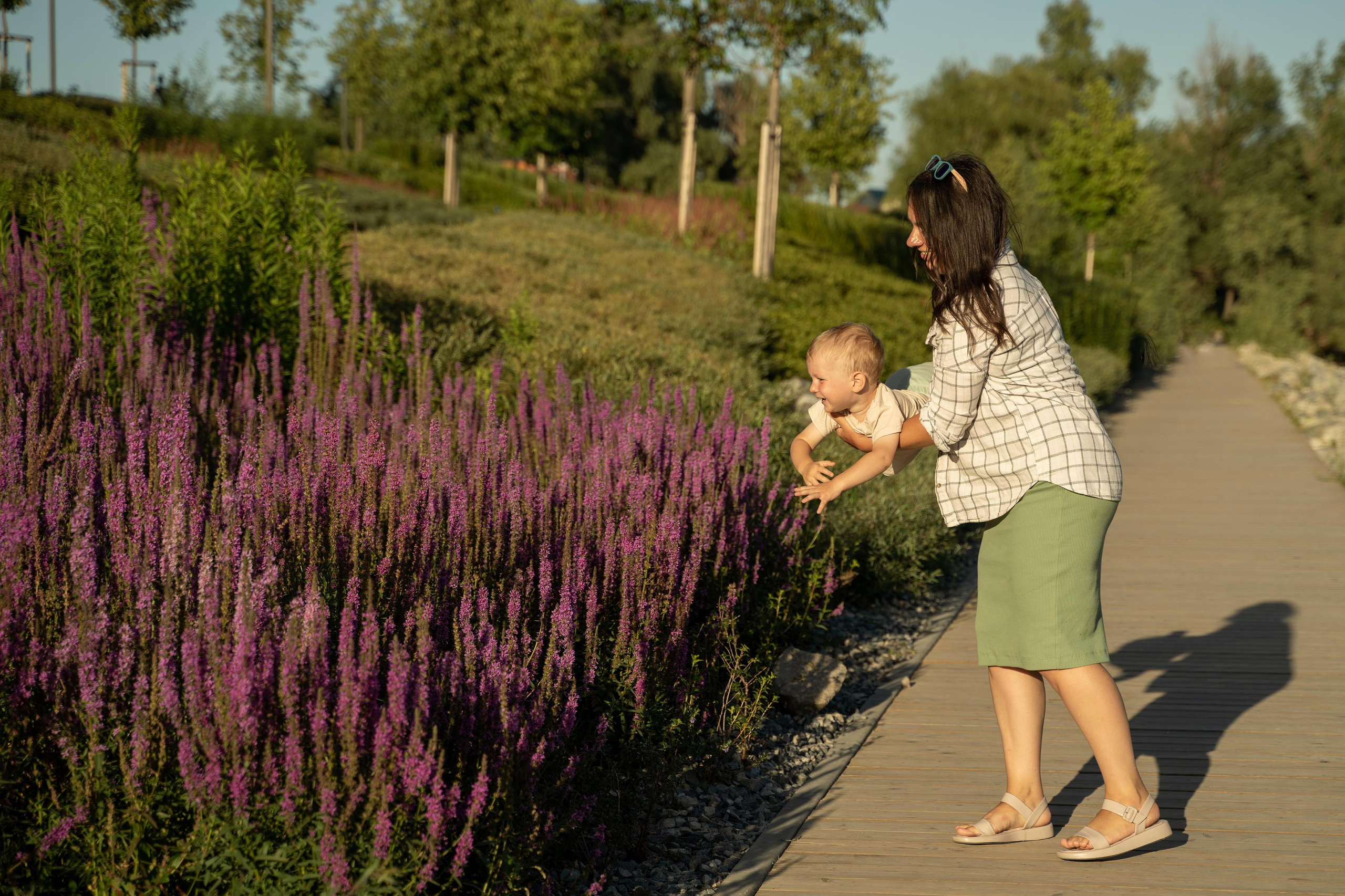 Семейная прогулка. Главная