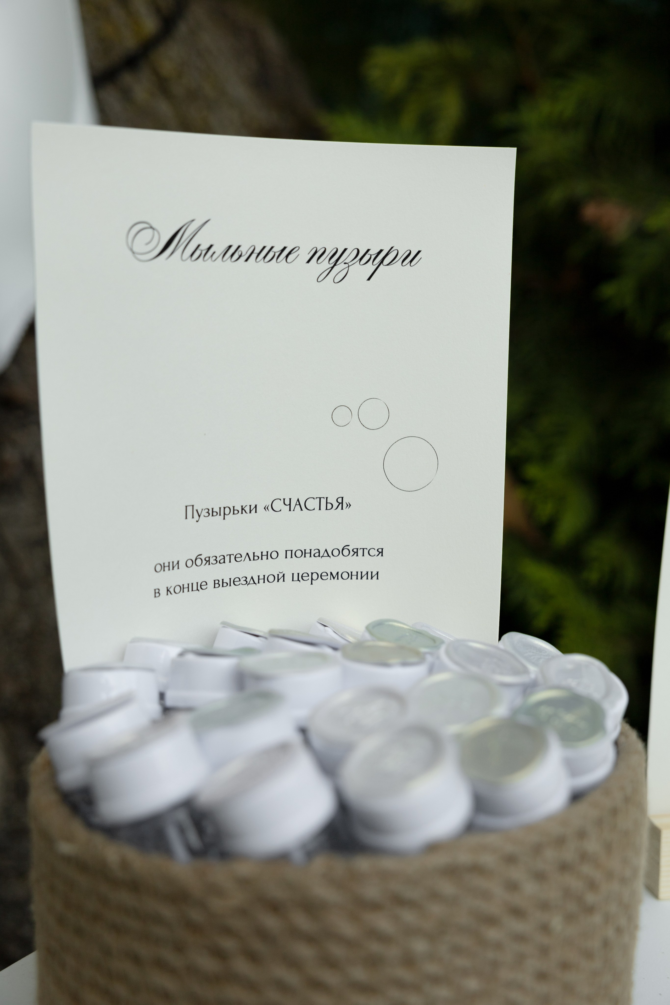 N + N. Фотограф Краснодар | Москва | Санкт — Петербург Куценко Диана