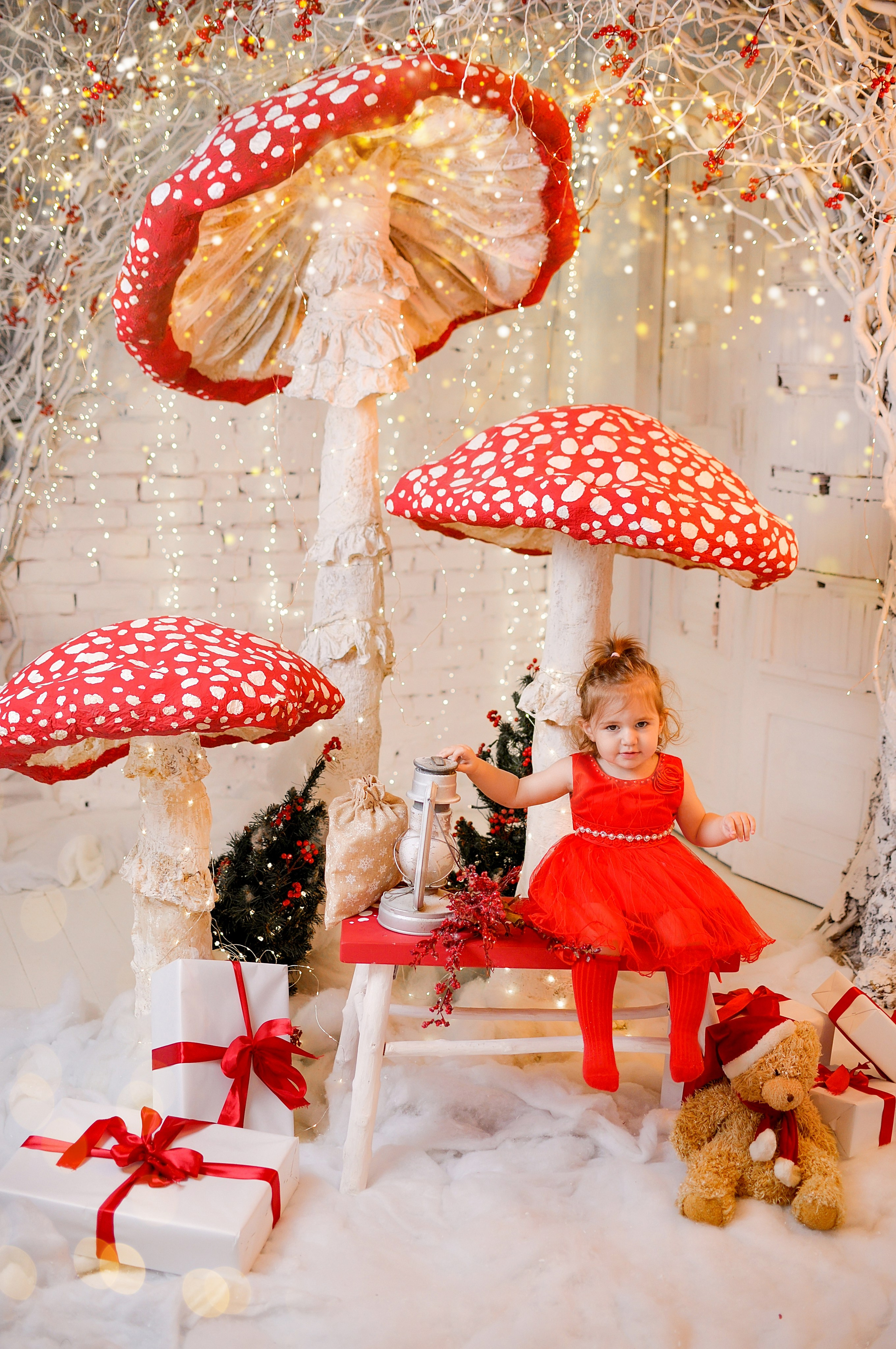 Новогодняя семейная фотосессия в Краснодаре 2023-2024. Фотограф новорожденных Краснодар Малышенко Надежда