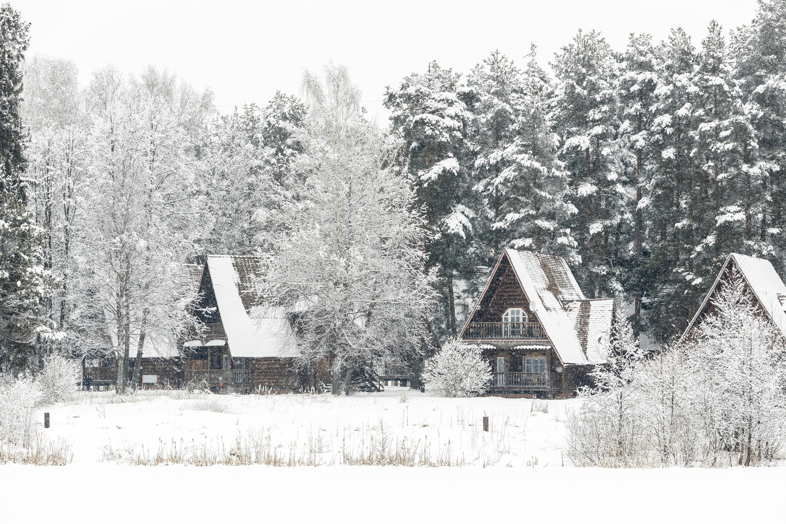 Фотосессия мероприятия Масленица. Портретный фотограф в Костроме Наталия Клевинскас