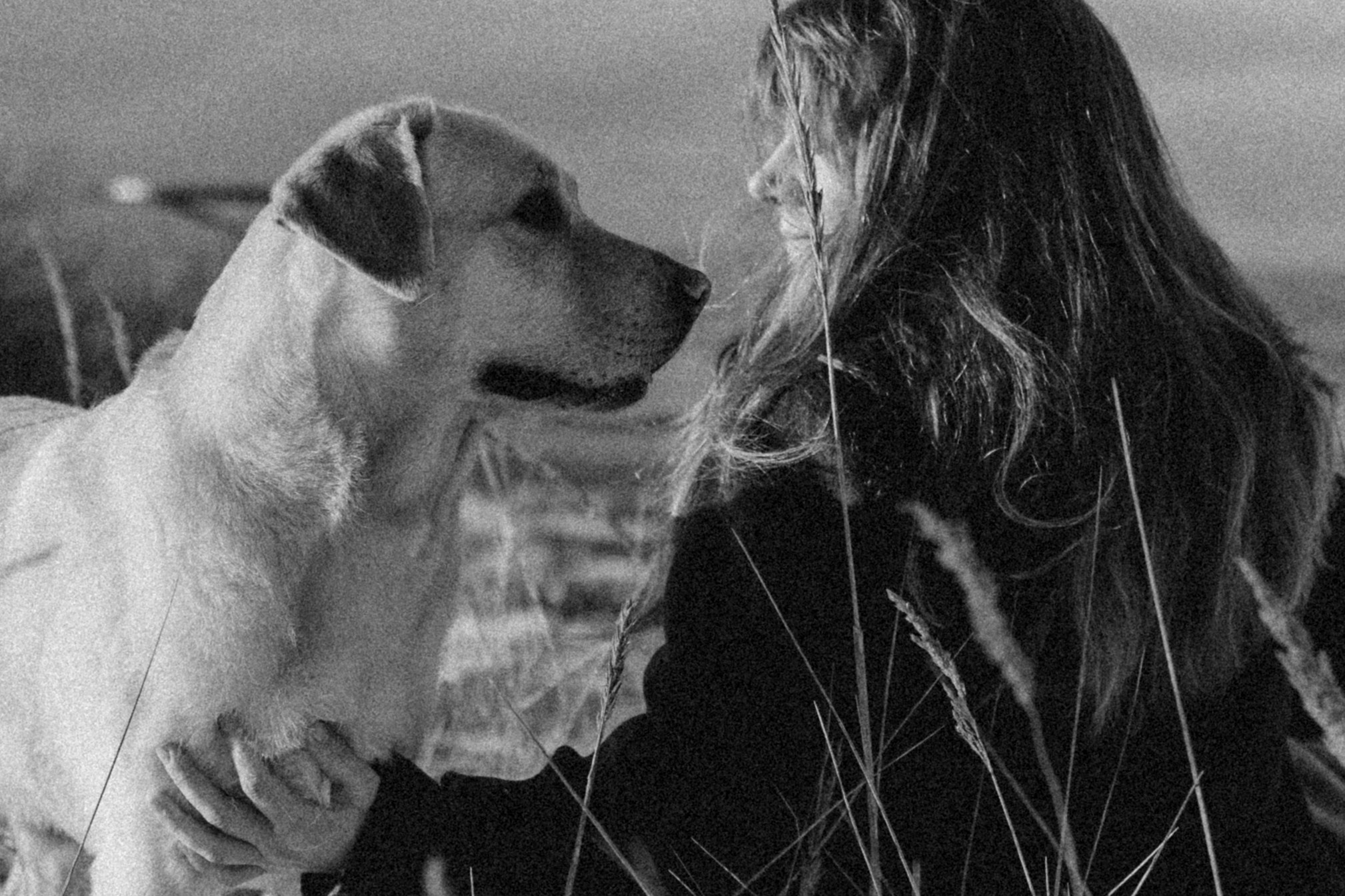 Ирина и Бася. Фотограф — Анималист | Санкт-Петербург