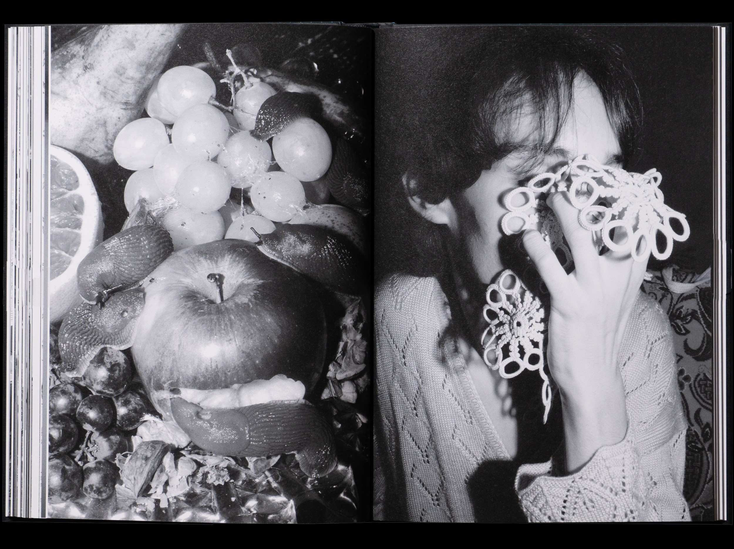 ОБЗОР АКТУАЛЬНЫХ ФОТОКНИГ: Porcelain and Wool. Самоорганизация Низина