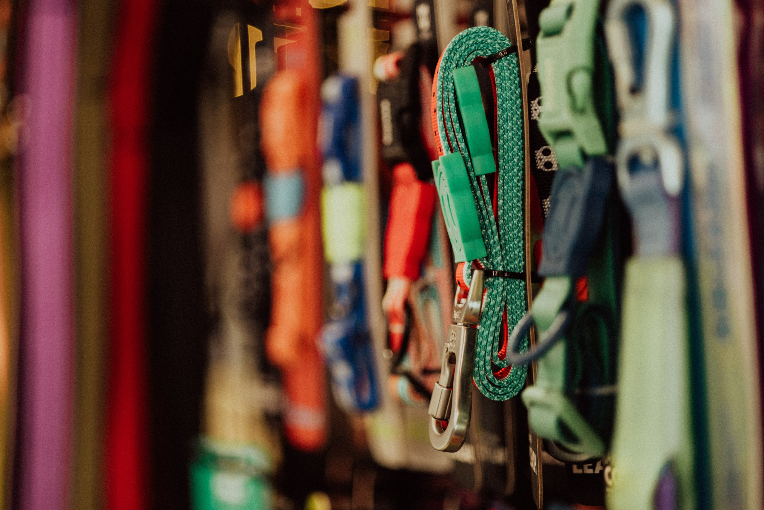 CBcon. Фотограф анималист в Москве Майорова Евгения