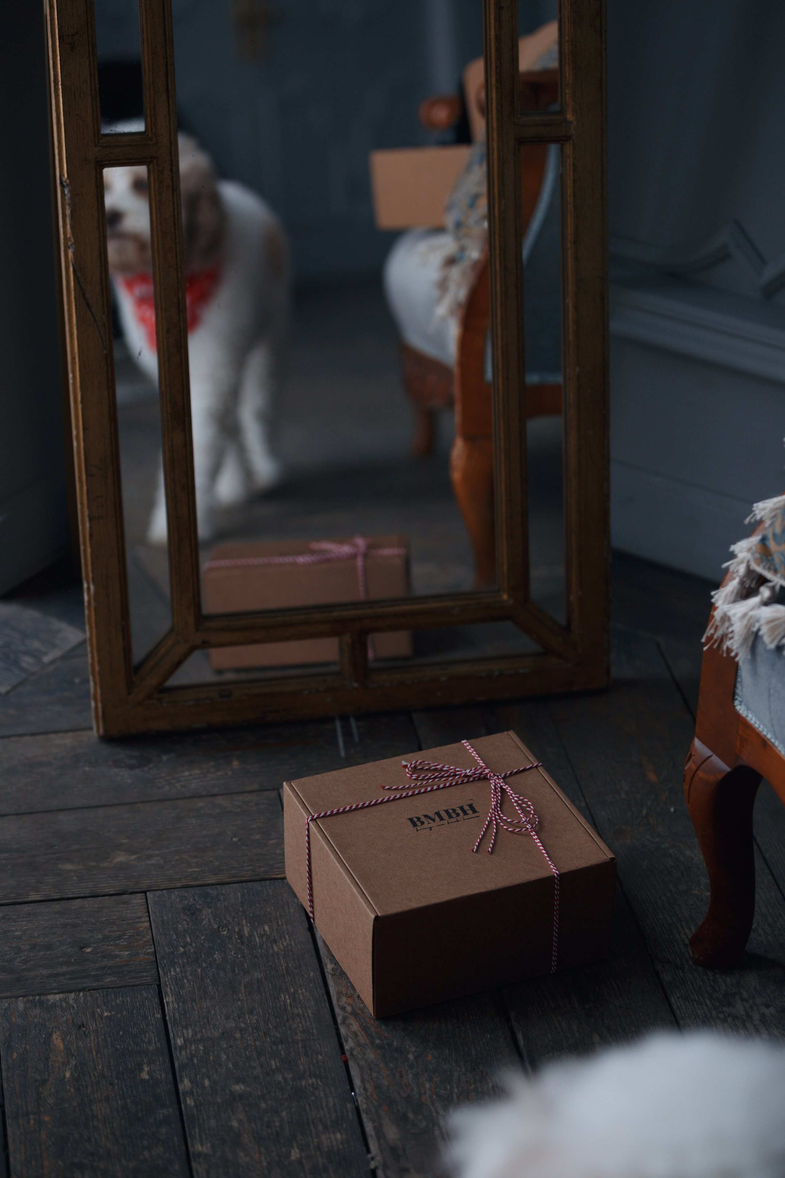 Bmbh лежанки и адресники. Фотограф анималист Кристина Карпова, Москва