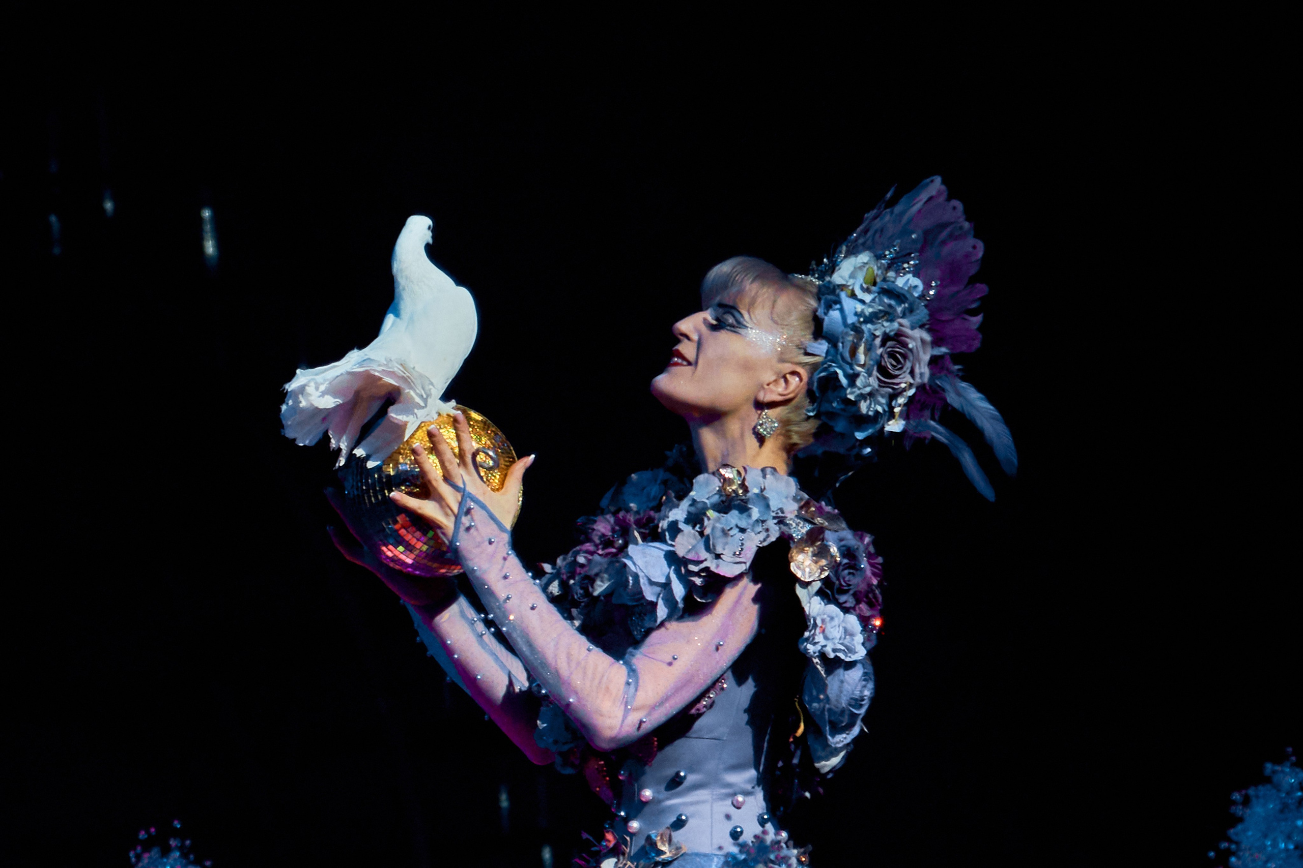 Цирк «На воде». Фотограф