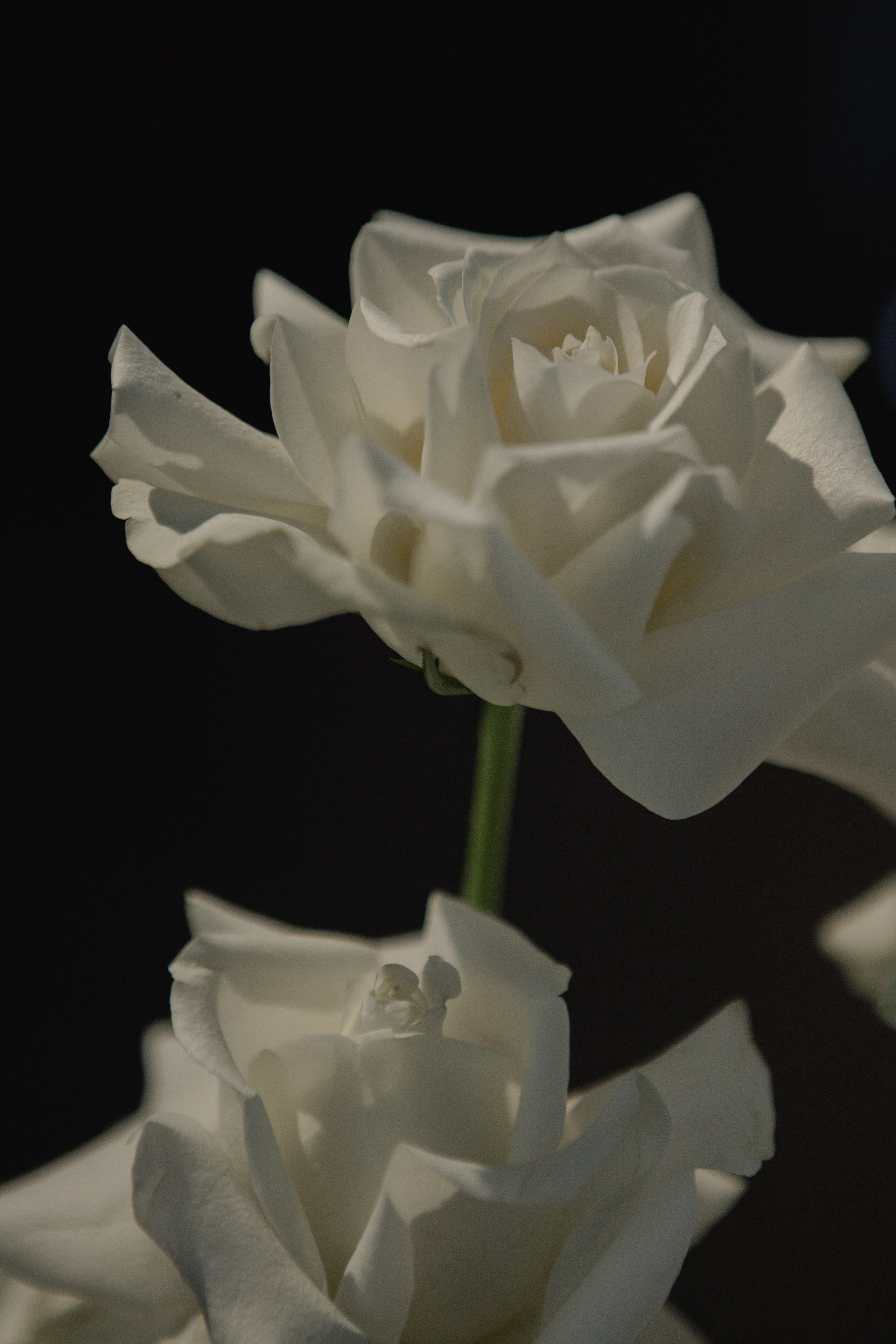 Егор и Дарья (В данной серии сокращенный, полный день). Фотограф в Саратове Сабина Иманова