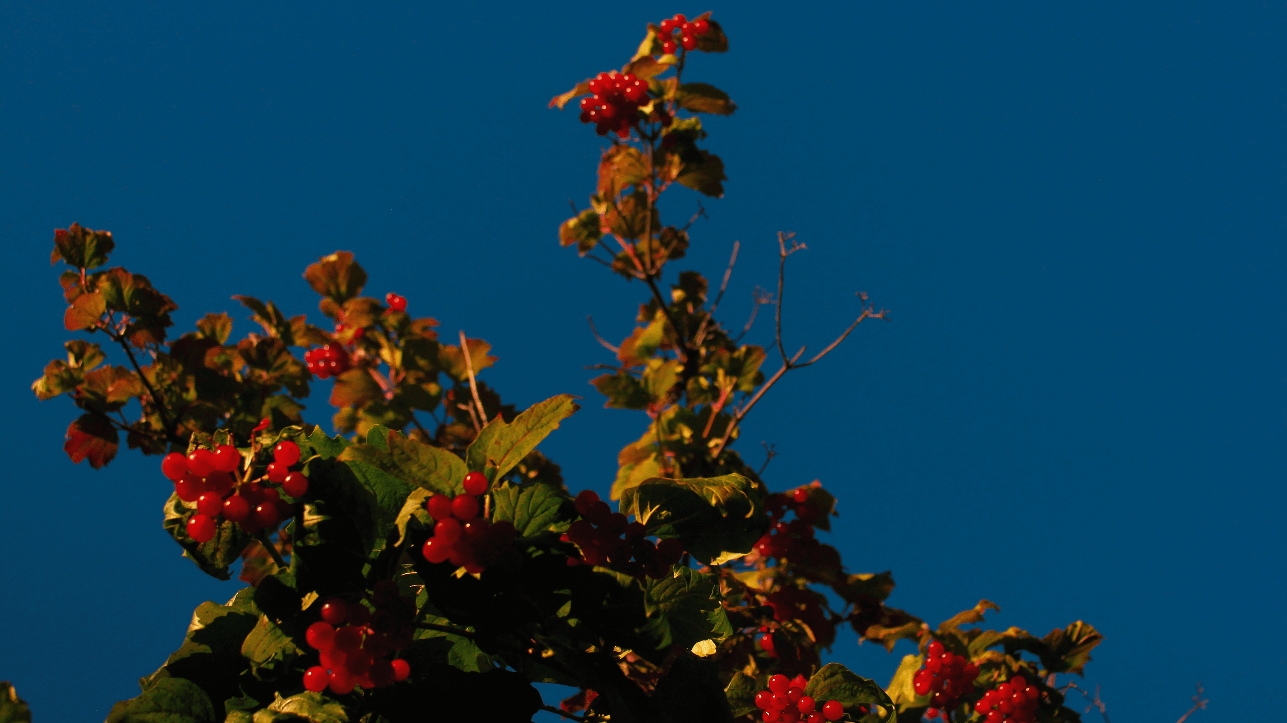 TMN summer '24. Фотограф/дизайнер в Екатеринбурге Хитрый Дмитрий