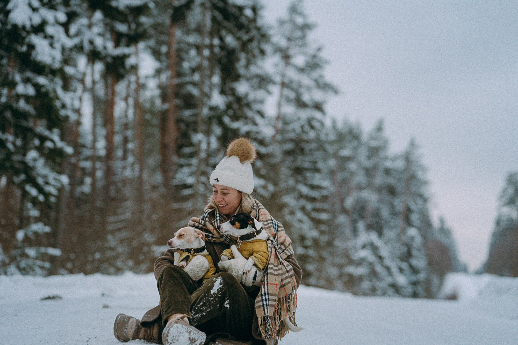 Алина, Ваниль и Элис. Фотограф анималист в Москве и Санкт-Петербурге Свиридова Анна