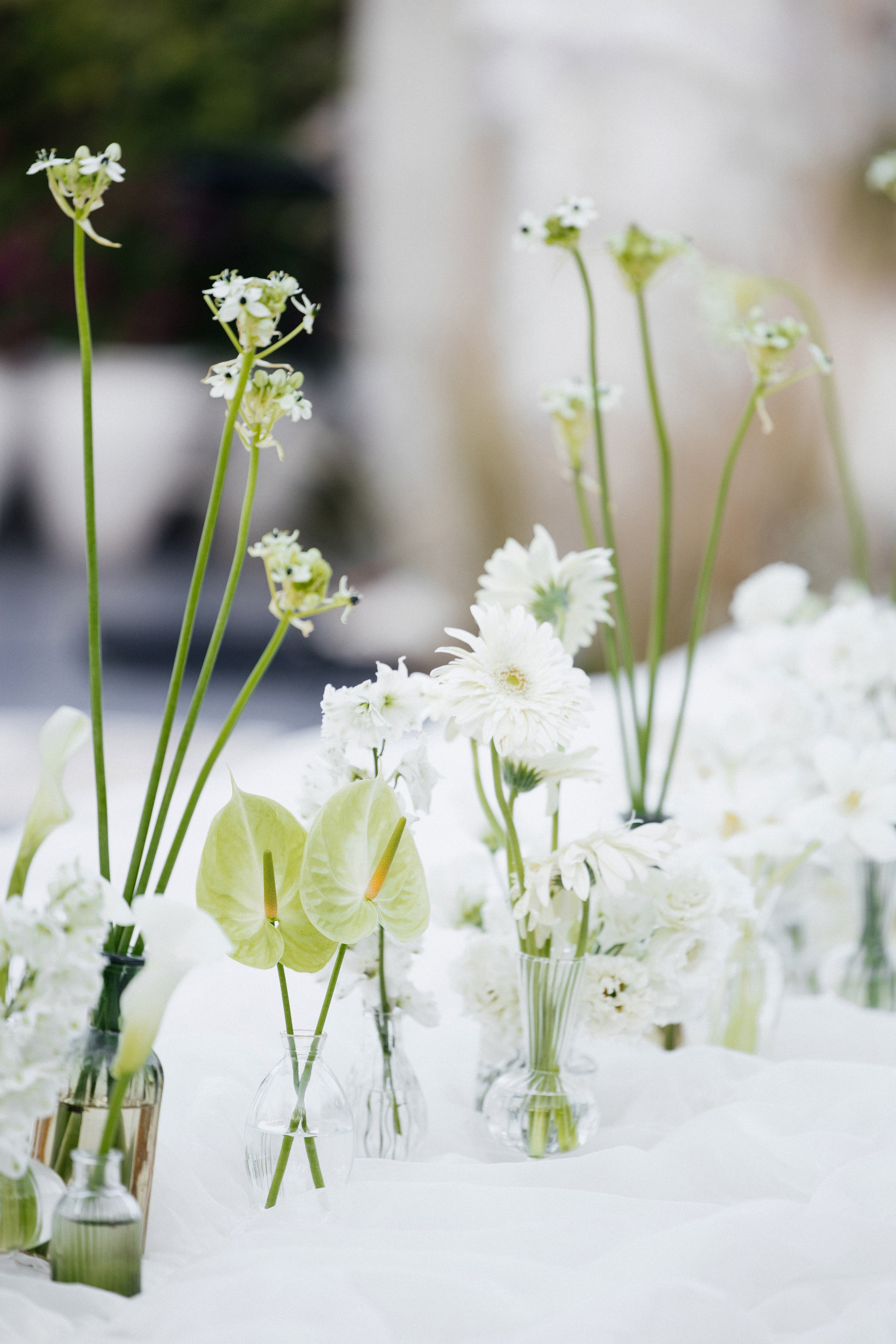Bolat & Meruert Bodrum. Zhandos Berikov