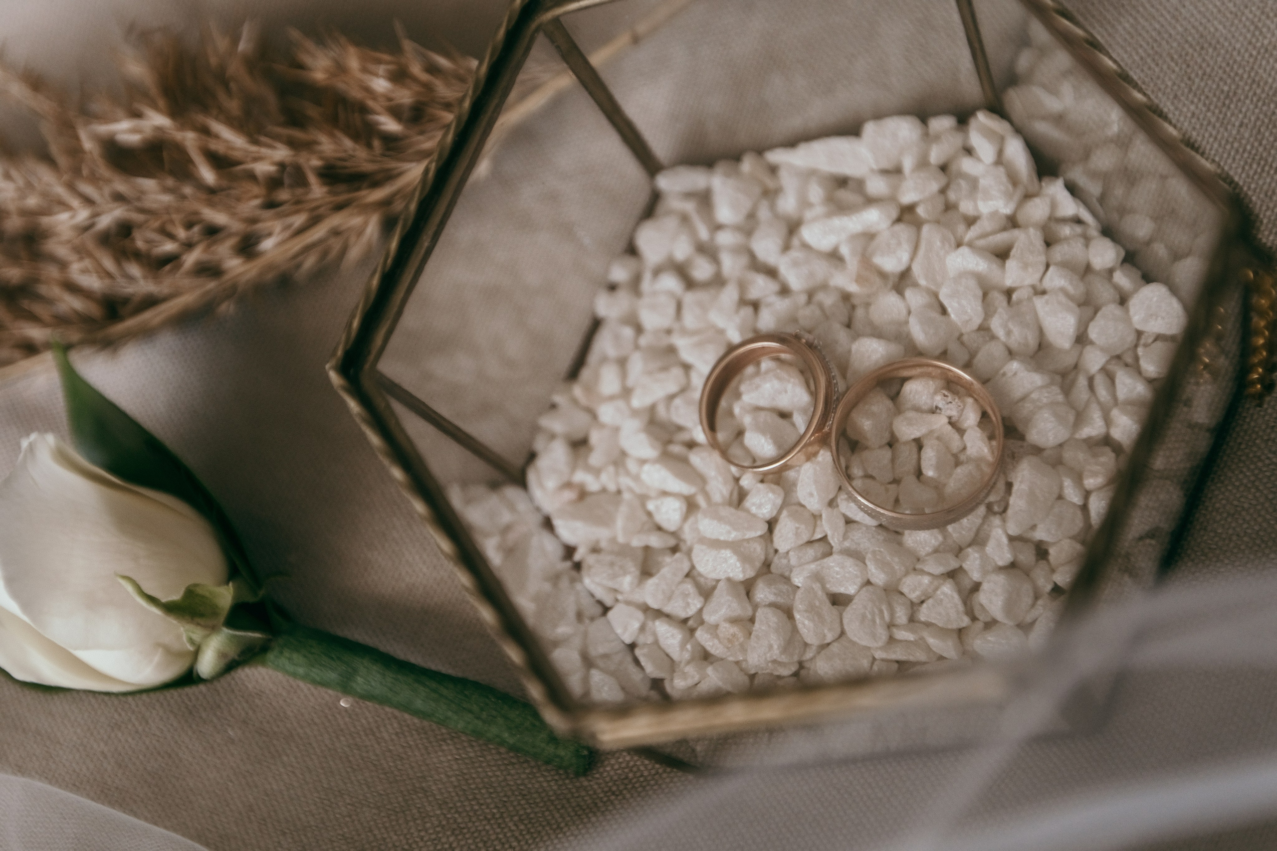 Владислав и Ксения