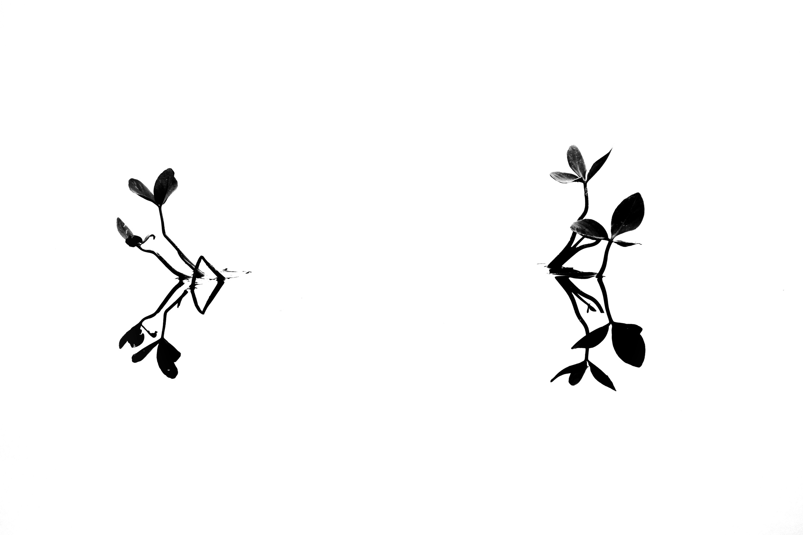 Мурманская область. Фотограф Евгений Андреев