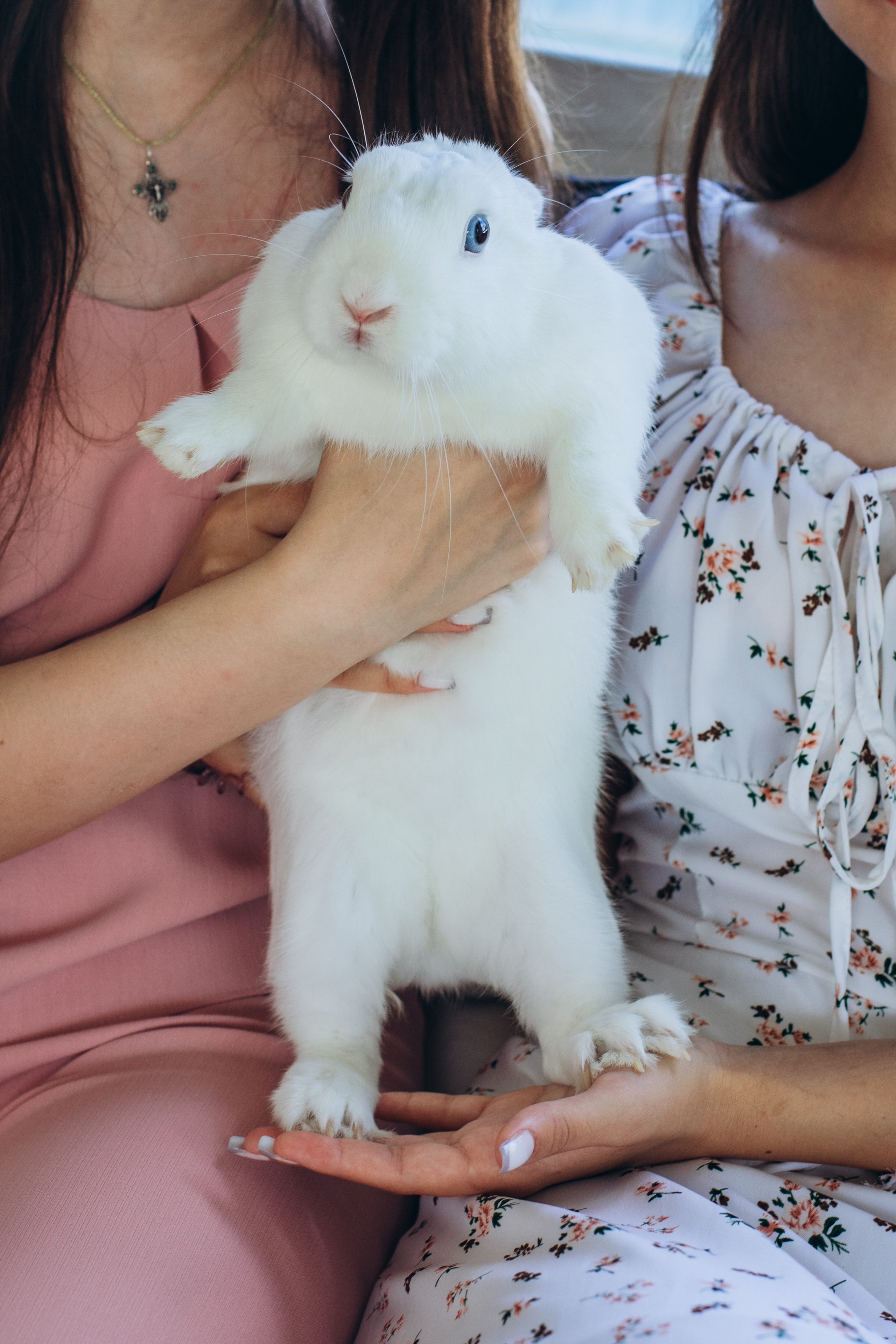 Большая семья. Семейный и домашний фотограф в Москве и МО Королева Валерия