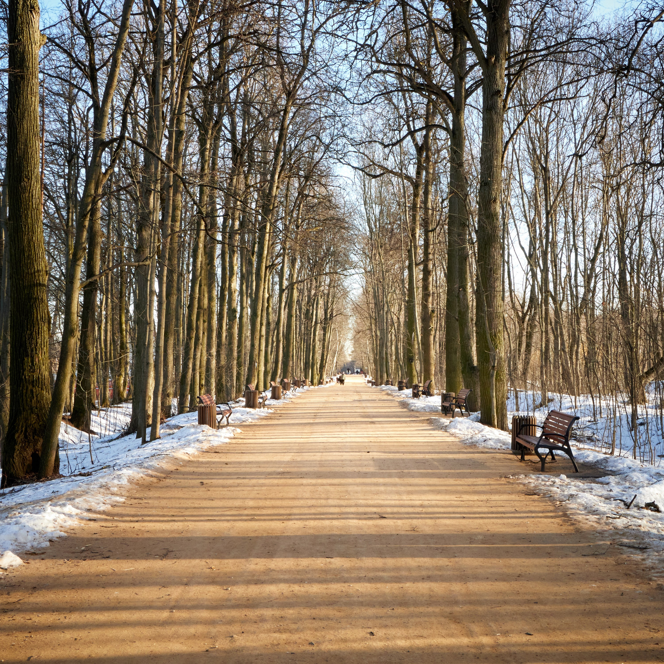 Путешествие одного Медведя. Предметный и контентный фотограф в Москве Курочкина Оксана