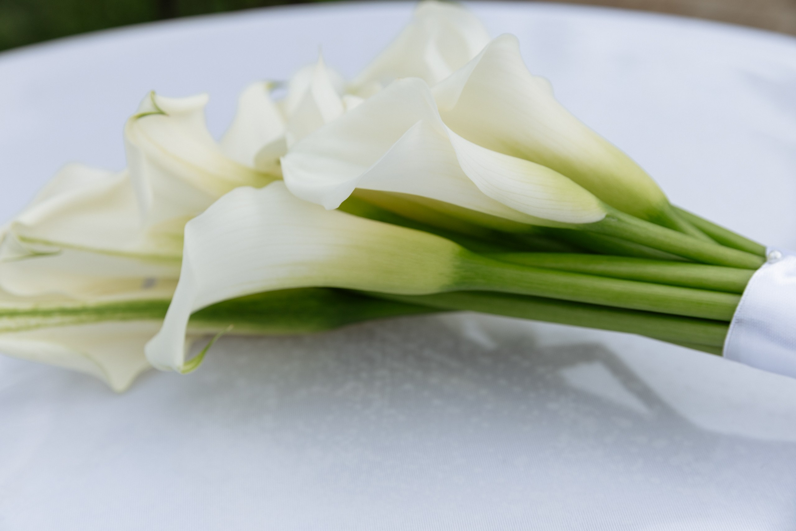 Павел и Анастасия. Анонс свадьбы