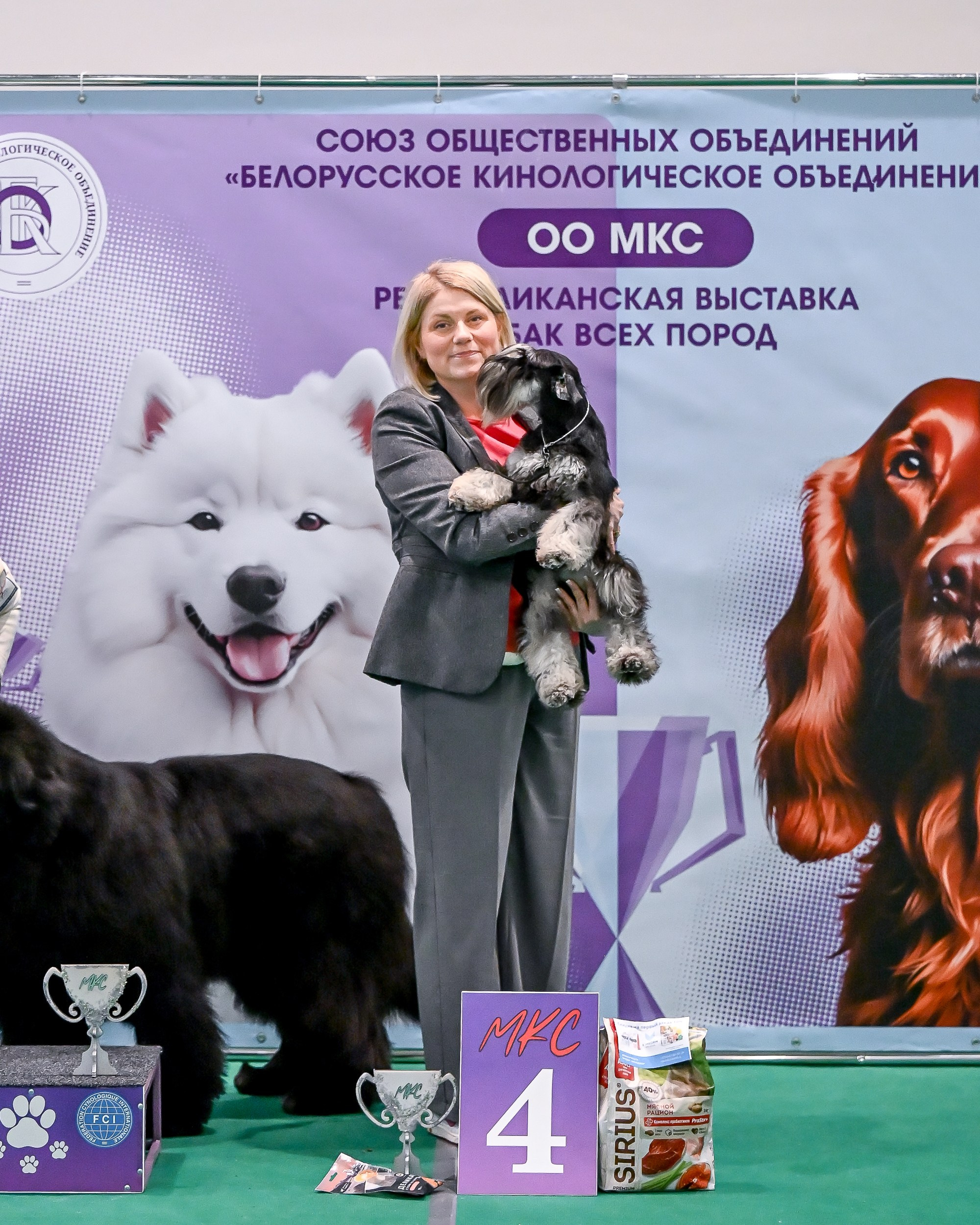 Бъянка/ Delinso Balance Cinzano Bianco. Питомник цвергшнауцеров в Беларуси «Делинсо Бэлэнс»