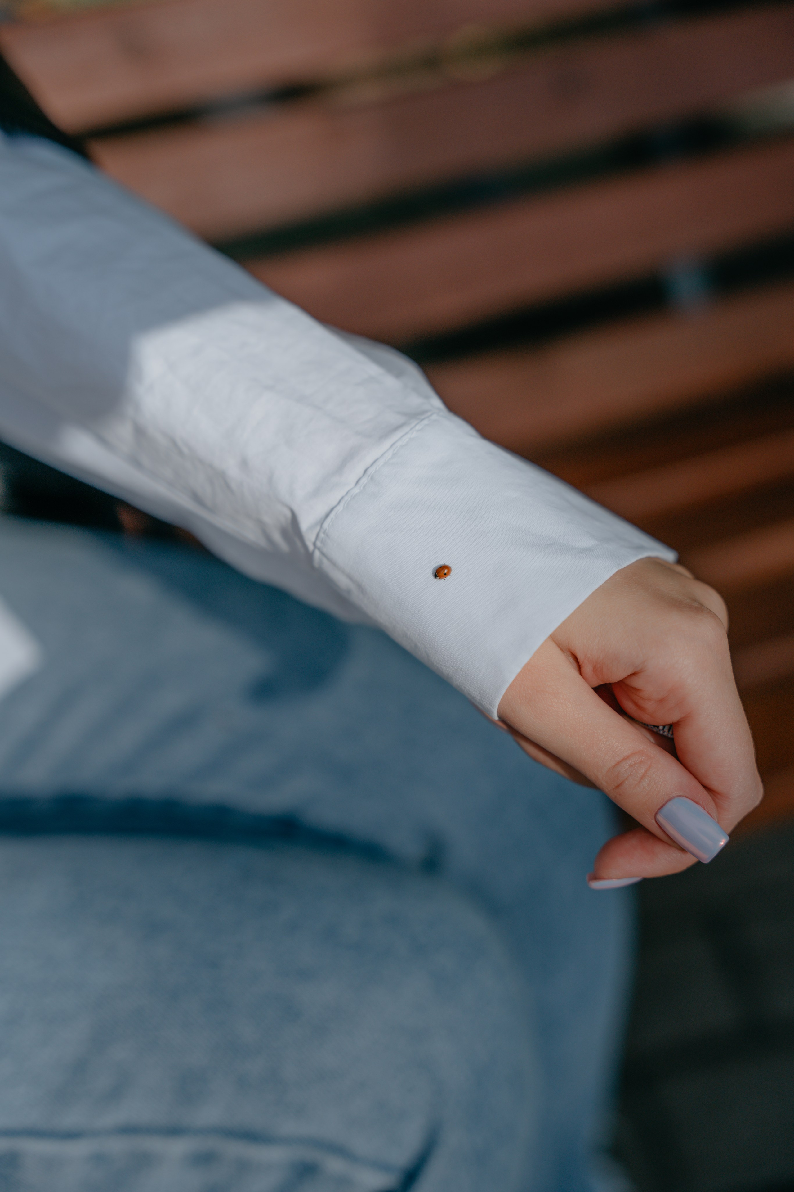 Аня рок-н-рол