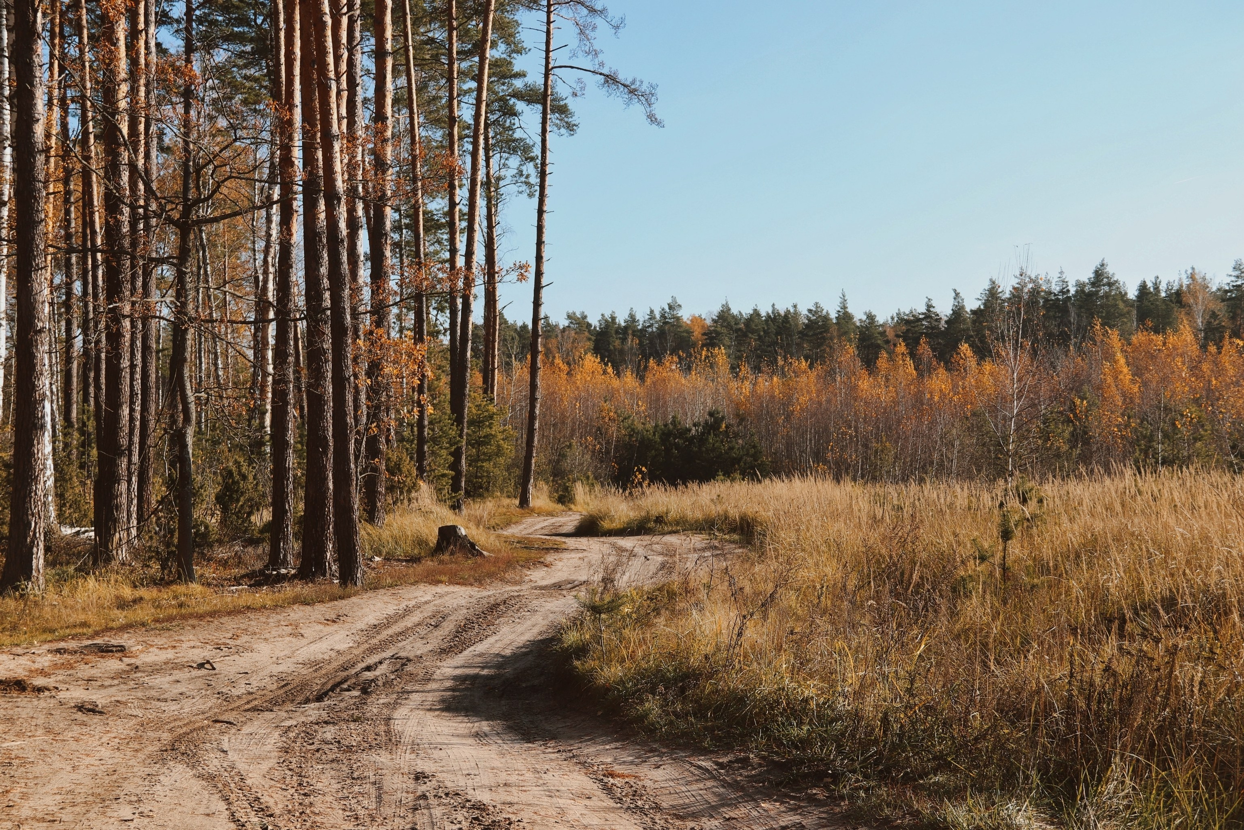 По тропе Паустовского. С любовью, фотохудожник