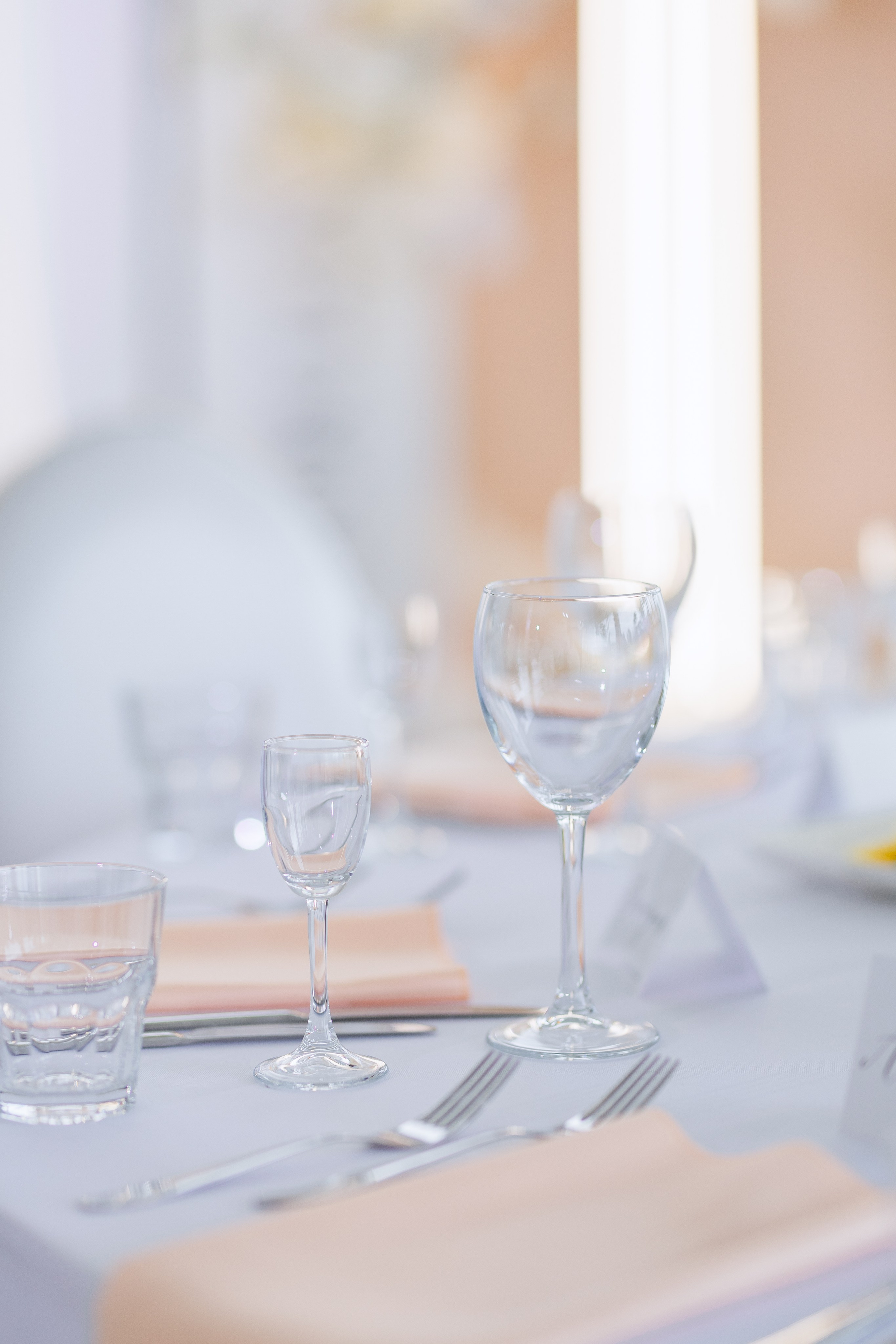 Виктория и Илья. Свадебный фотограф Витебск Минск