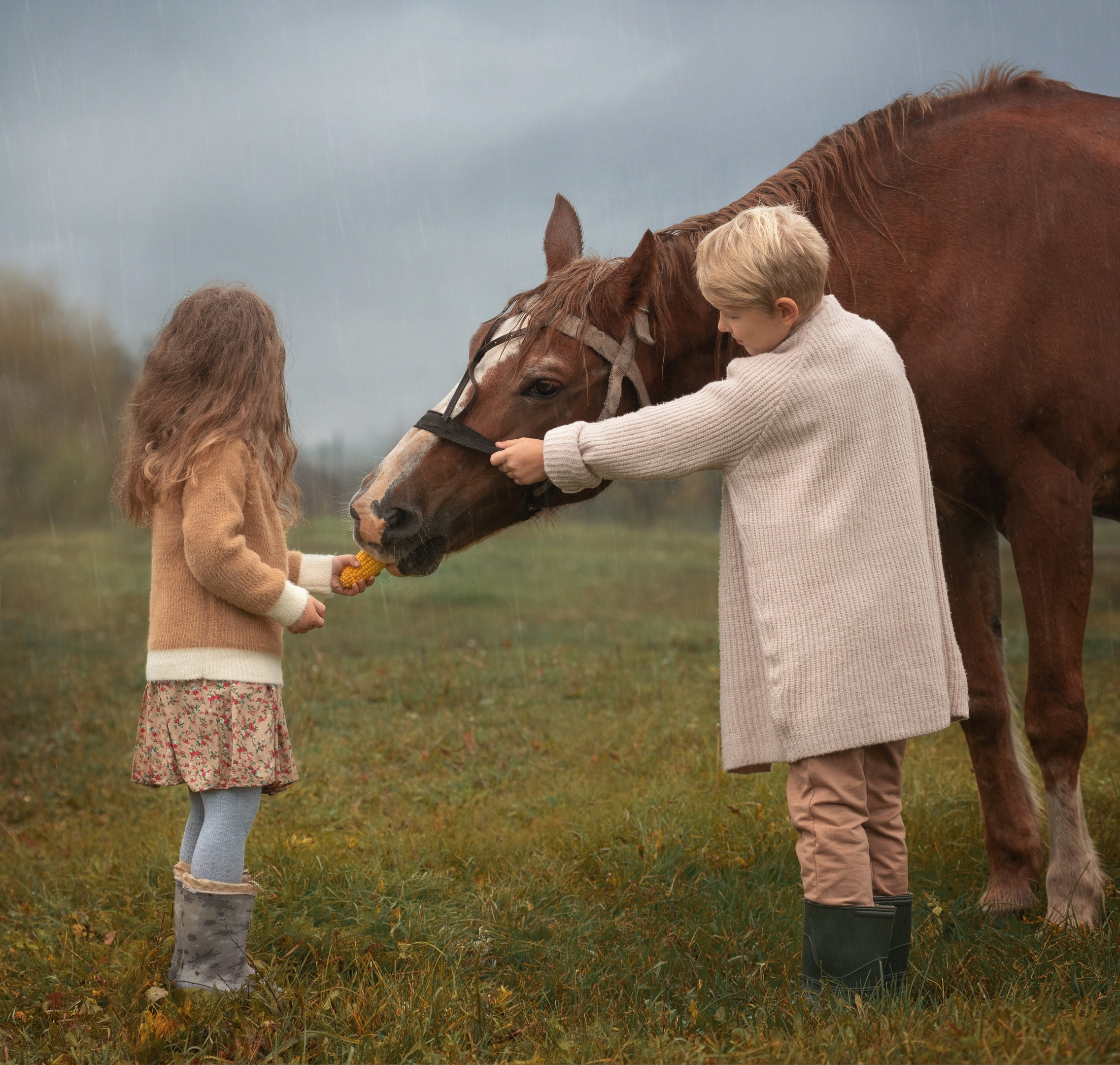 Портфолио. Детские фотографии