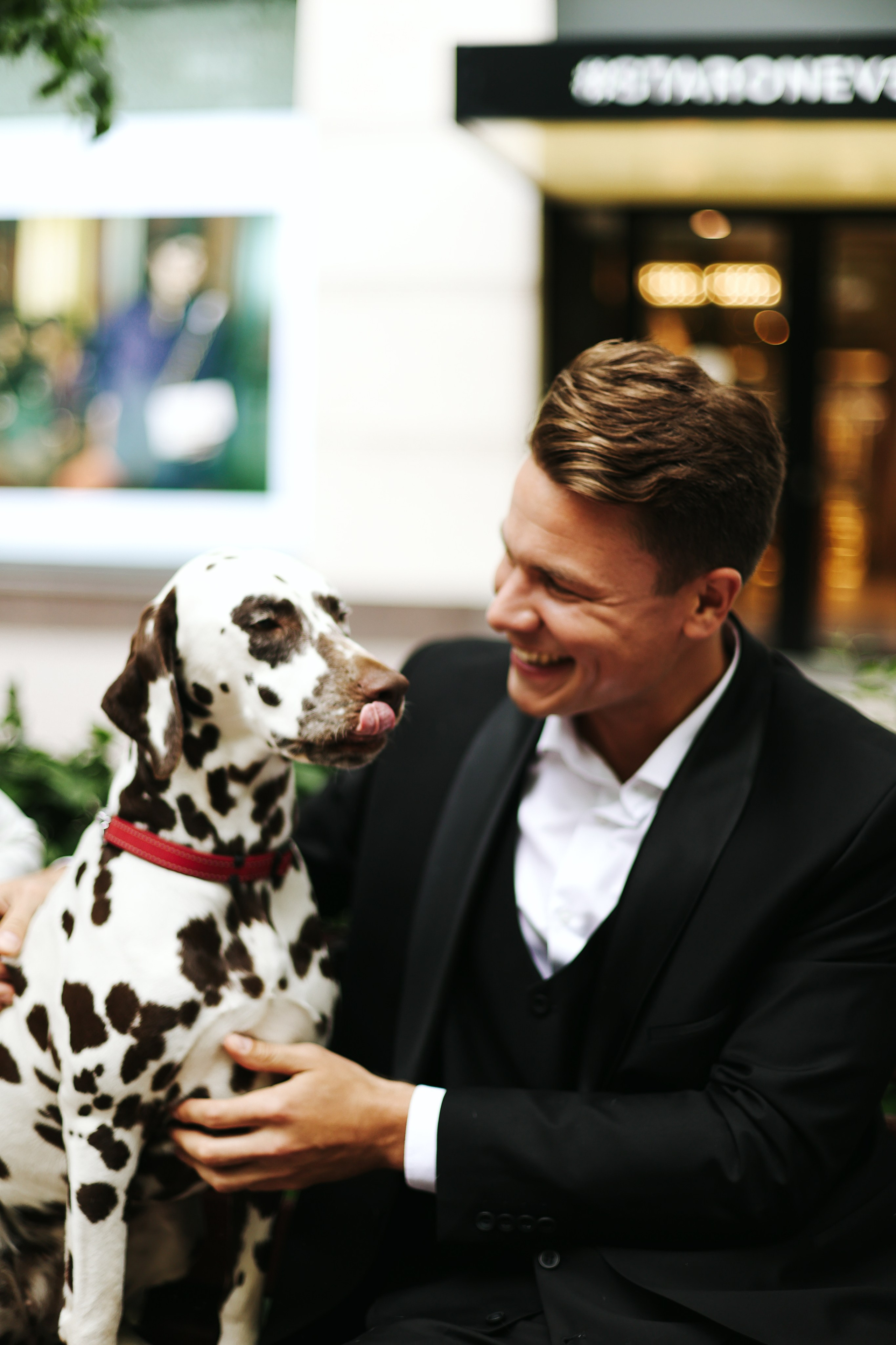 Свадебная прогулка с далматинцами. Свадебный и love story фотограф в Санкт-Петербурге (Спб) Natali Iva