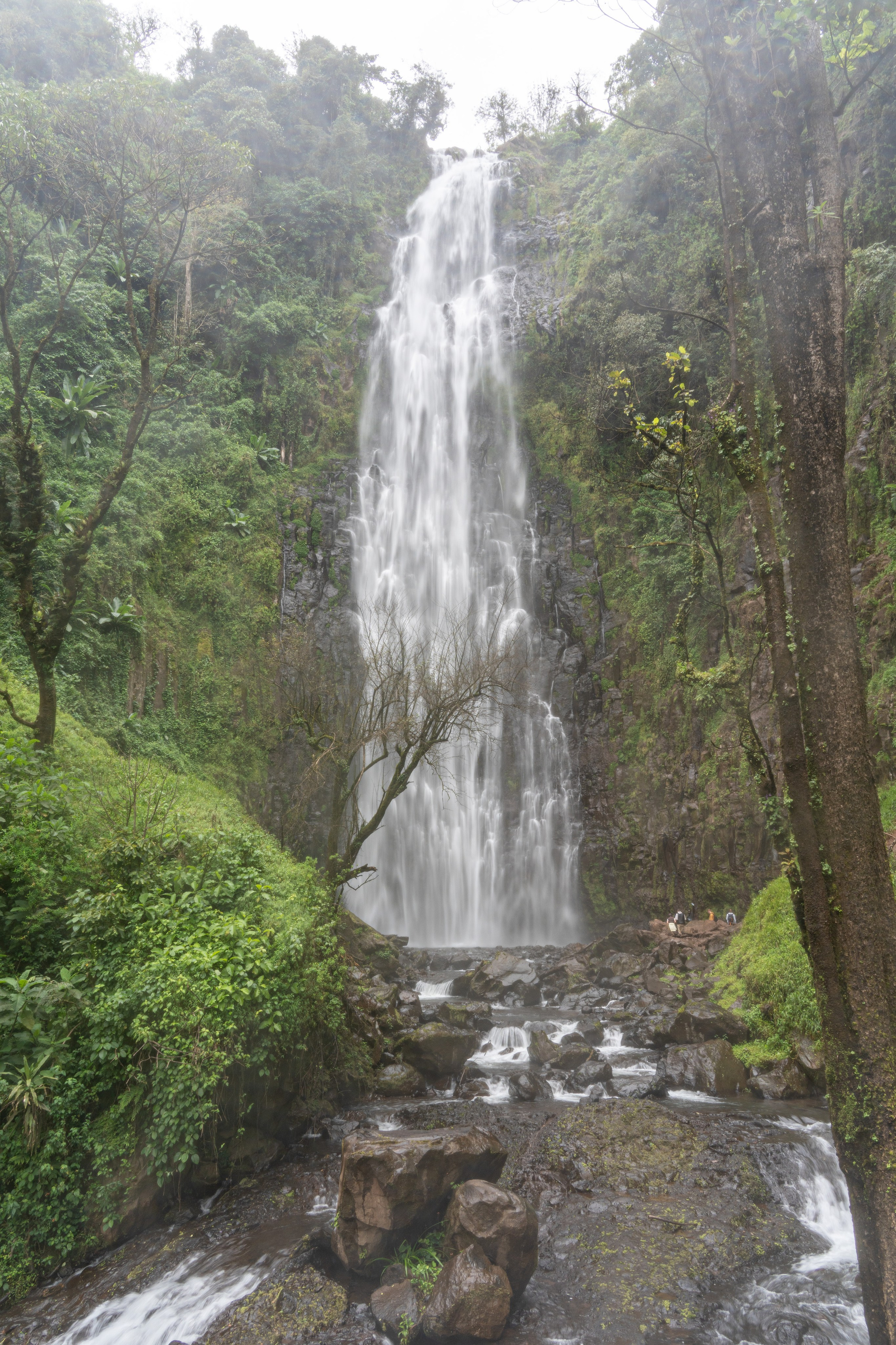 Танзания, сафари, 2025. Творческие сьемки