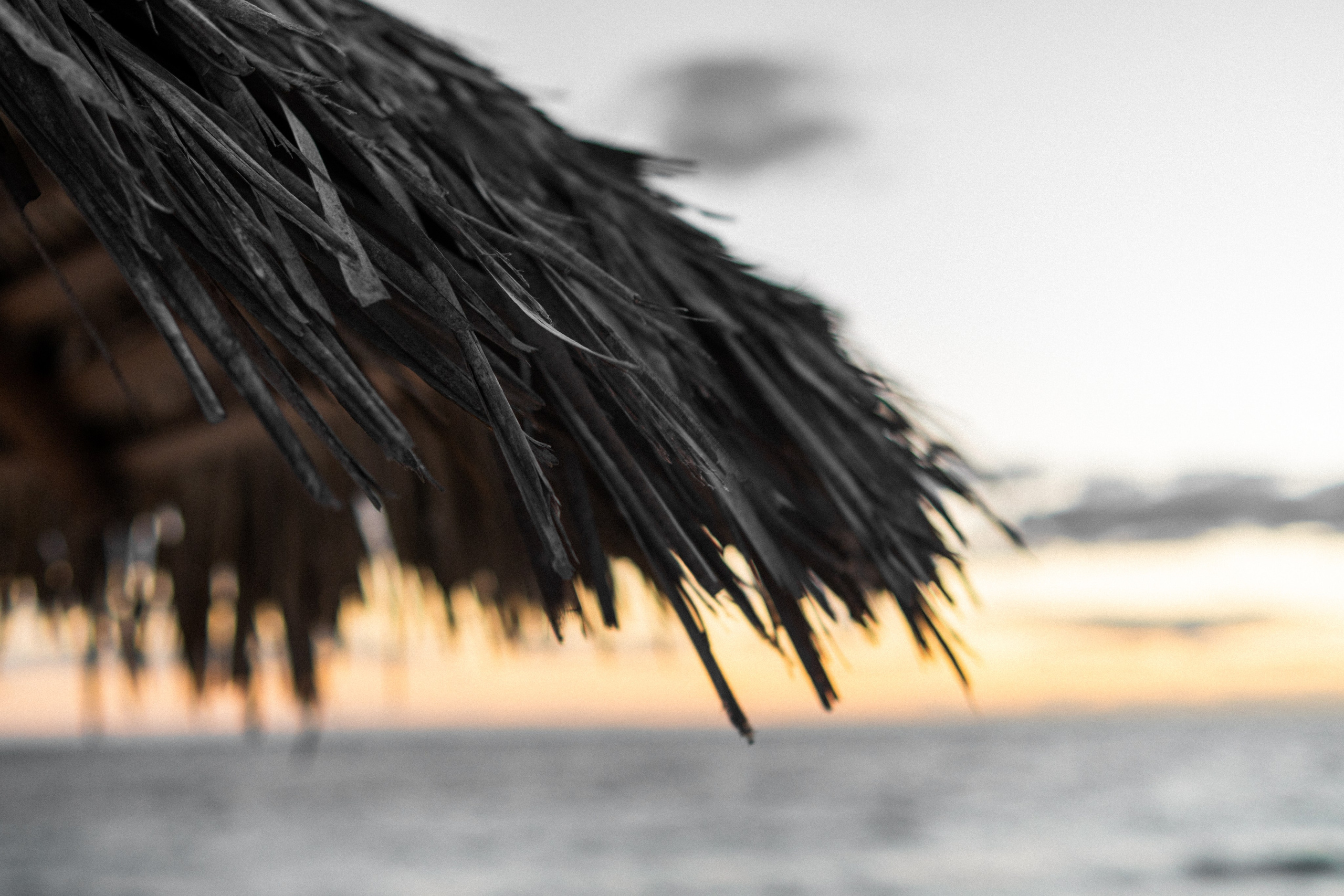 Фотограф для побега Измир, будуарная фотография Измир, спортивный фотограф Измир, фотография изящных искусств Измир, фуд фотография Измир, редакционный фотограф Измир, фотожурналистика Измир, чёрно-белая фотография Измир, пейзажная фотография Измир, подводная фотография Измир, приключенческий фотограф Измир, гламурная фотография Измир, фотограф на фестивале Измир, фотография ночной жизни Измир, услуги по редактированию фотографий Измир, портреты путешествий Измир, фотография исторических мест Измир, фотография живописных видов Измир, индивидуальные фотосессии Измир, рекламная фотография Измир