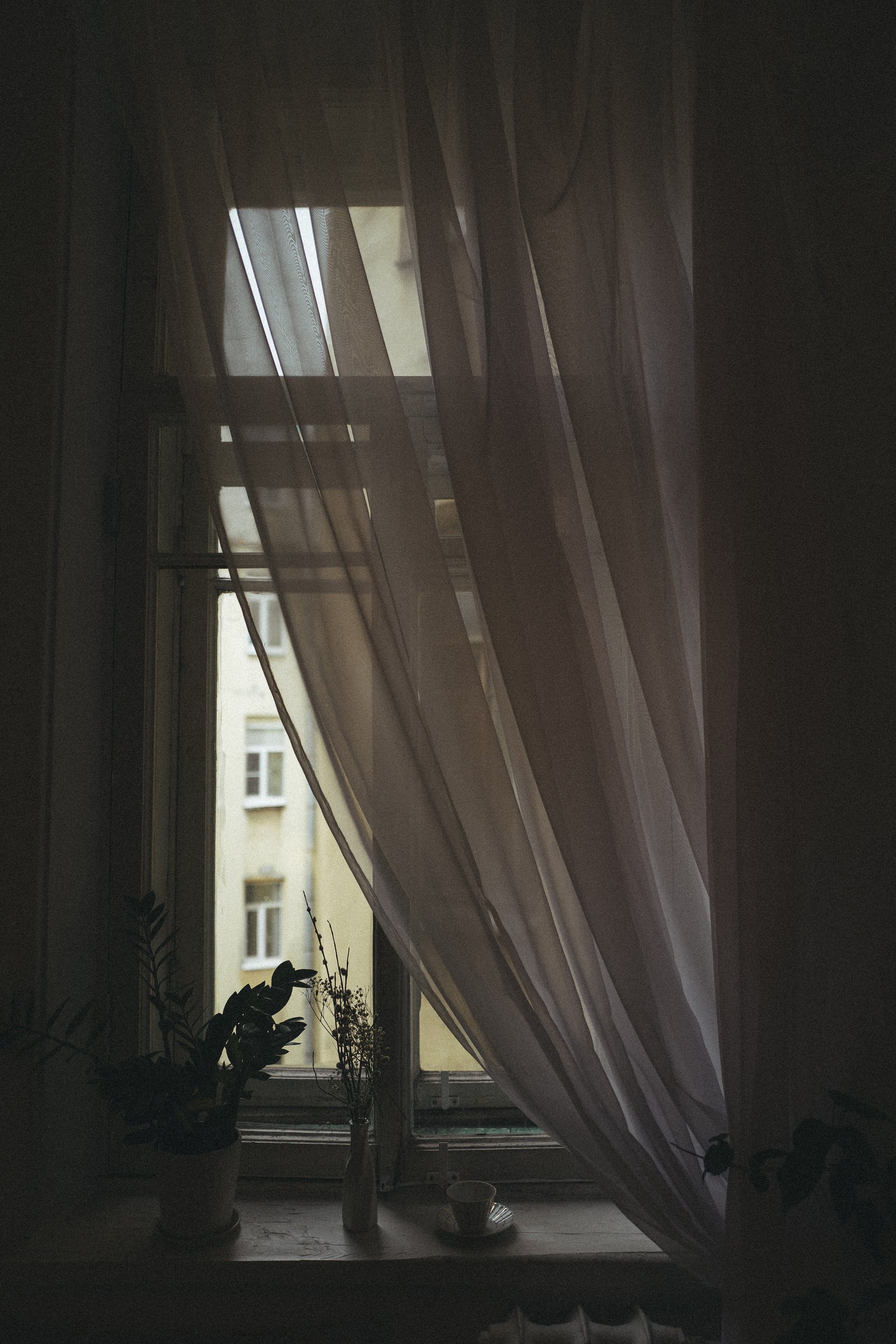 Saint Petersburg/2023. <3