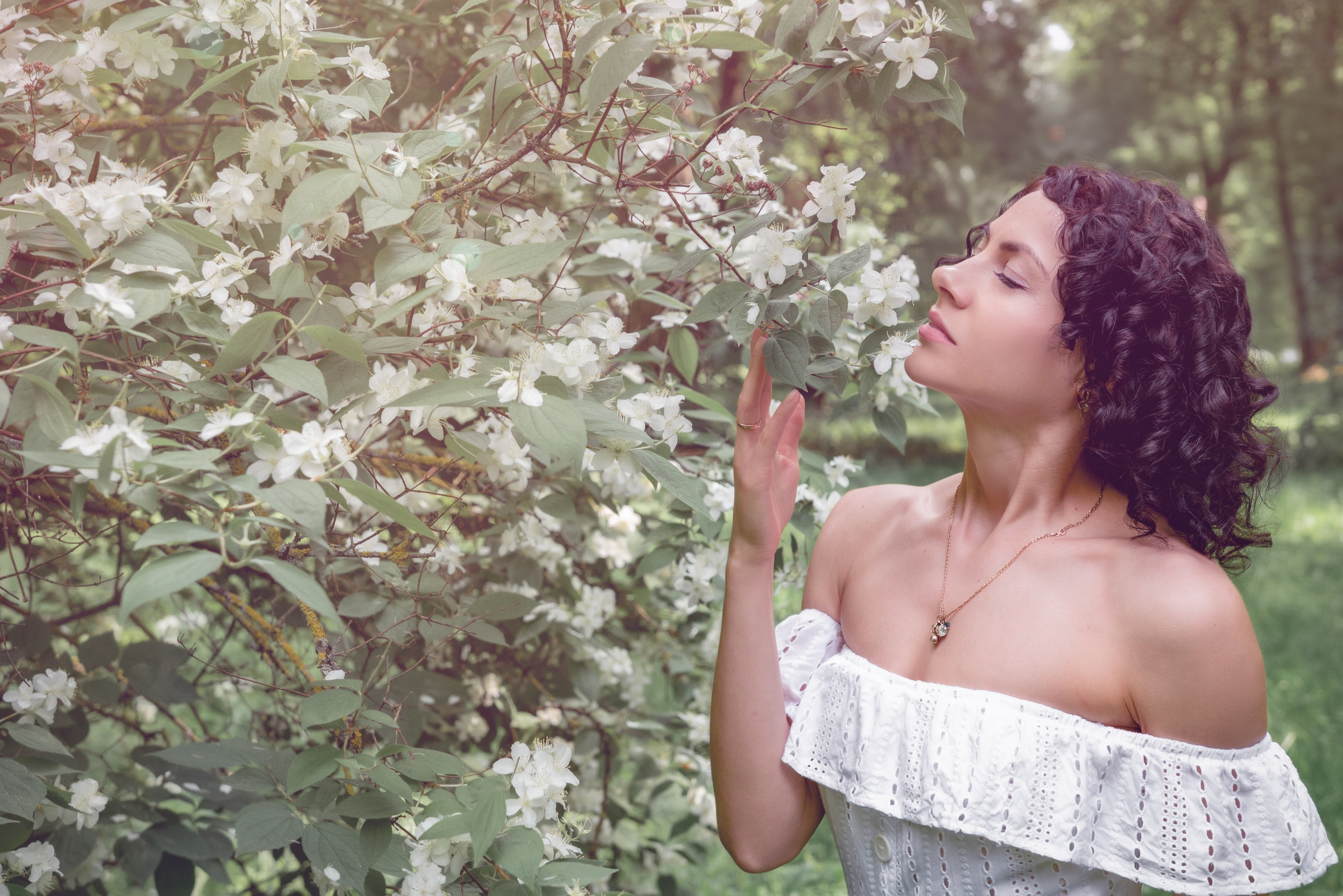 Зелёная симфония