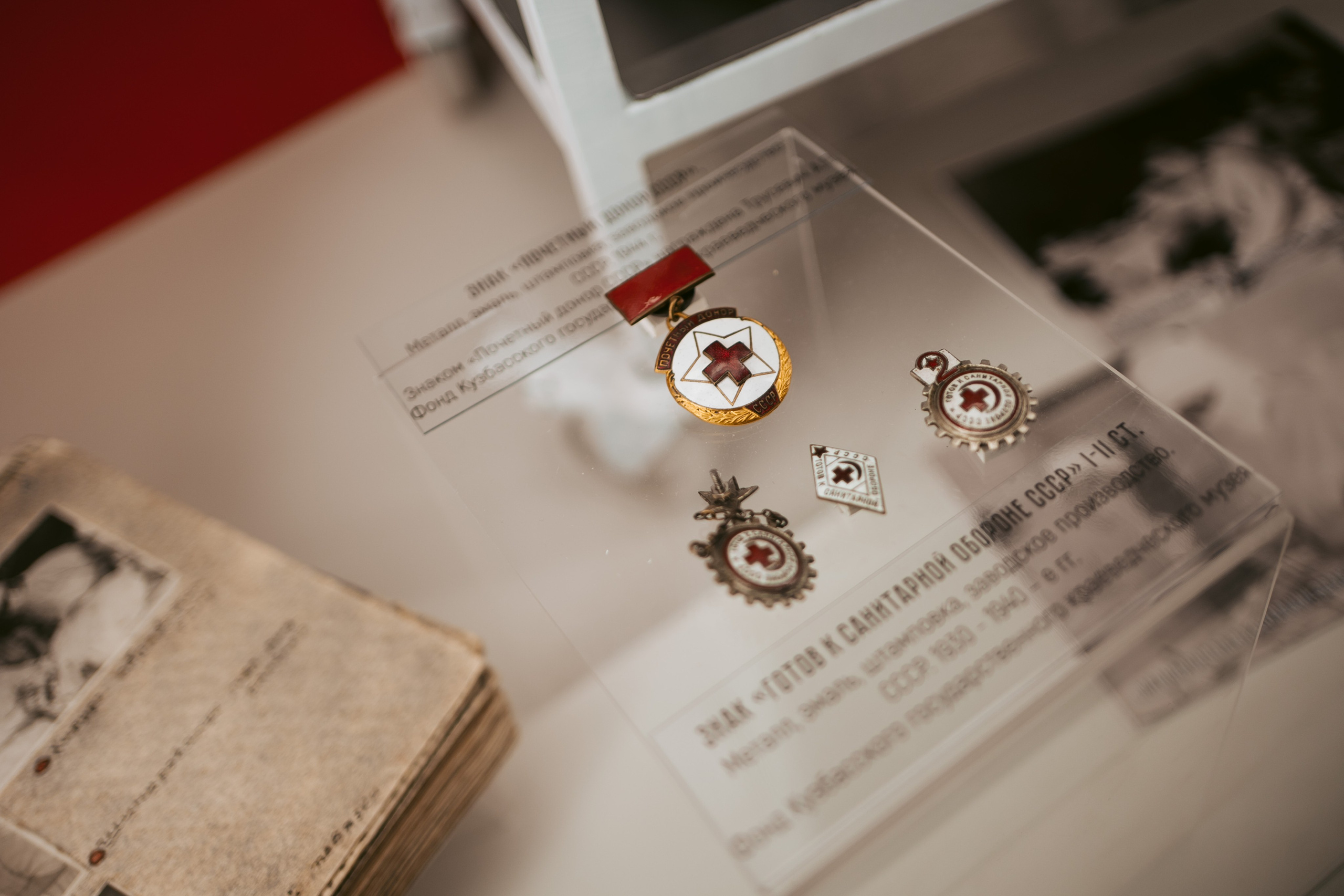 Ночь искусств 2023. Фотограф на любое событие в Кемерово