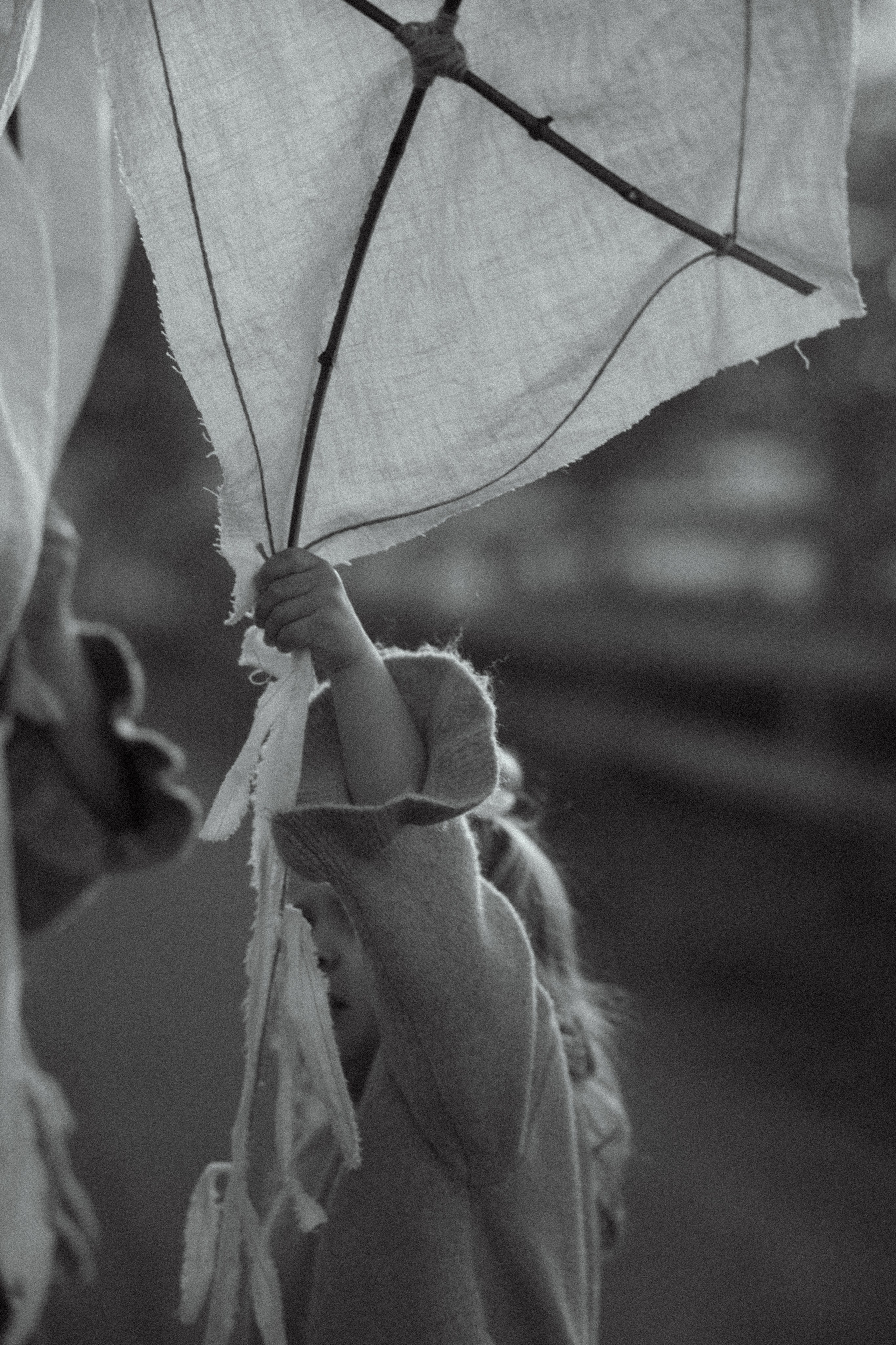 Поле, ромашки и воздушный змей. Семейный фотограф Москва Юлиана Фетисова