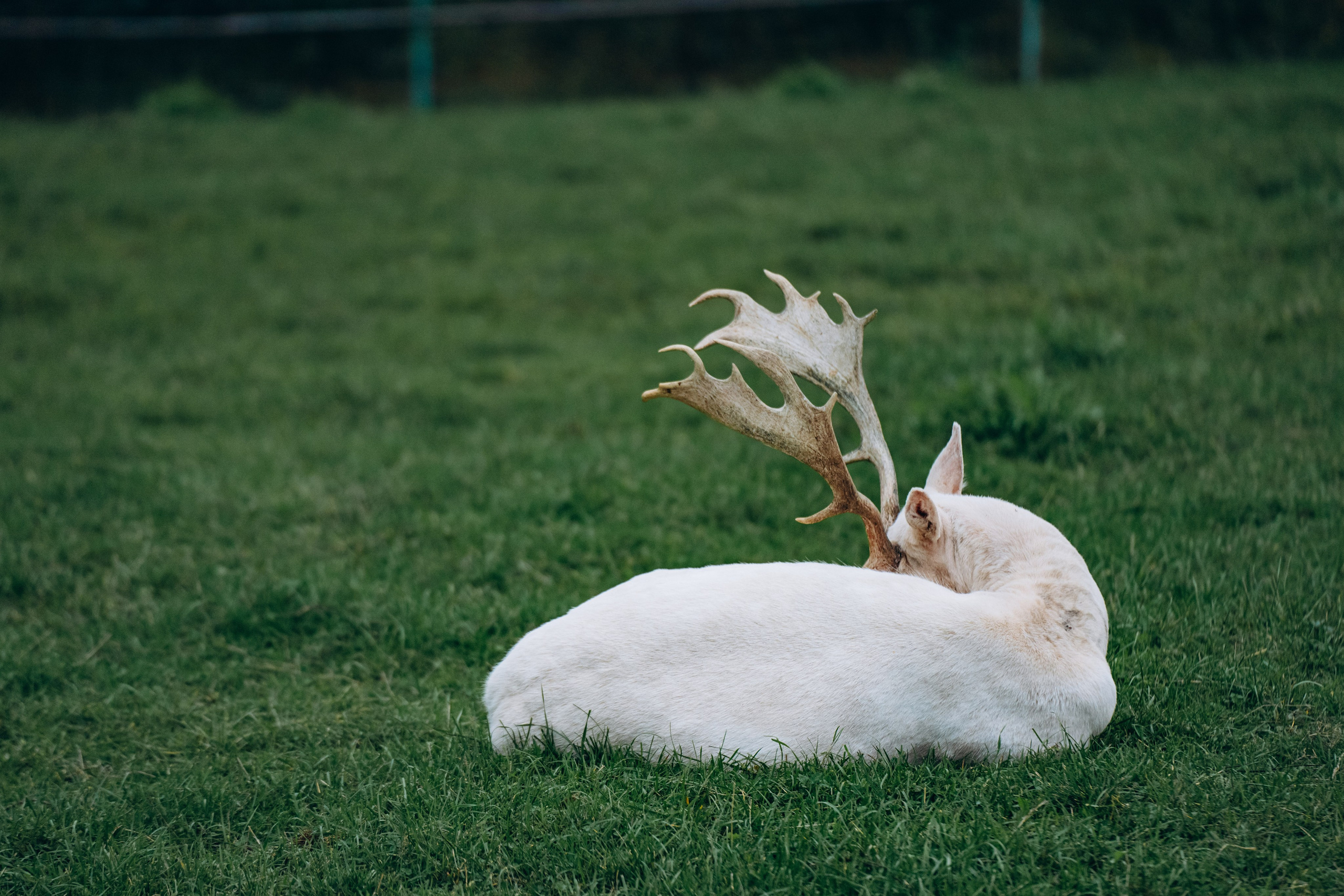 СЕВЕР. Event фотограф Степанова Александра