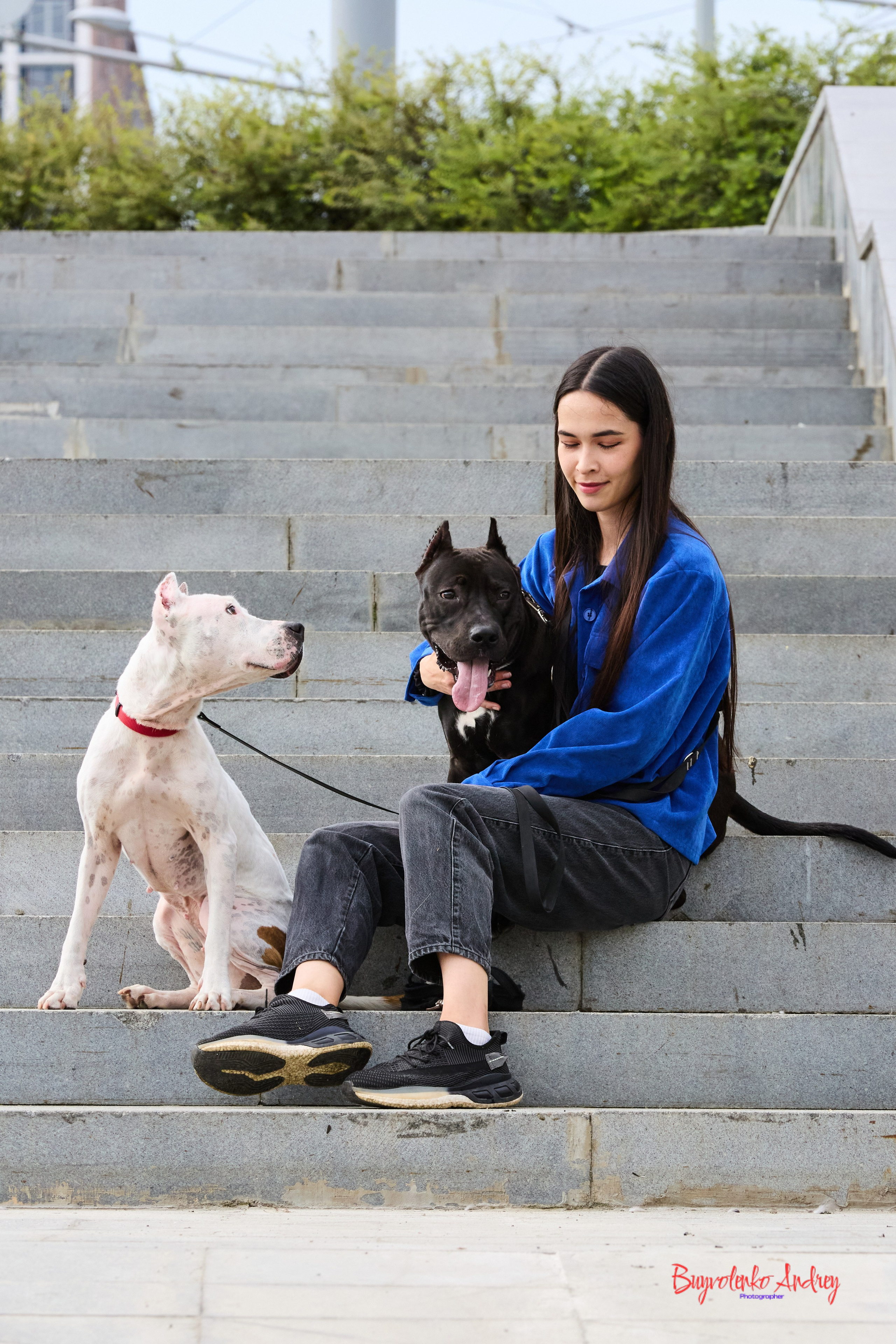 Проект фотопрогулка с хвостиком. Buyvolenko Andrey