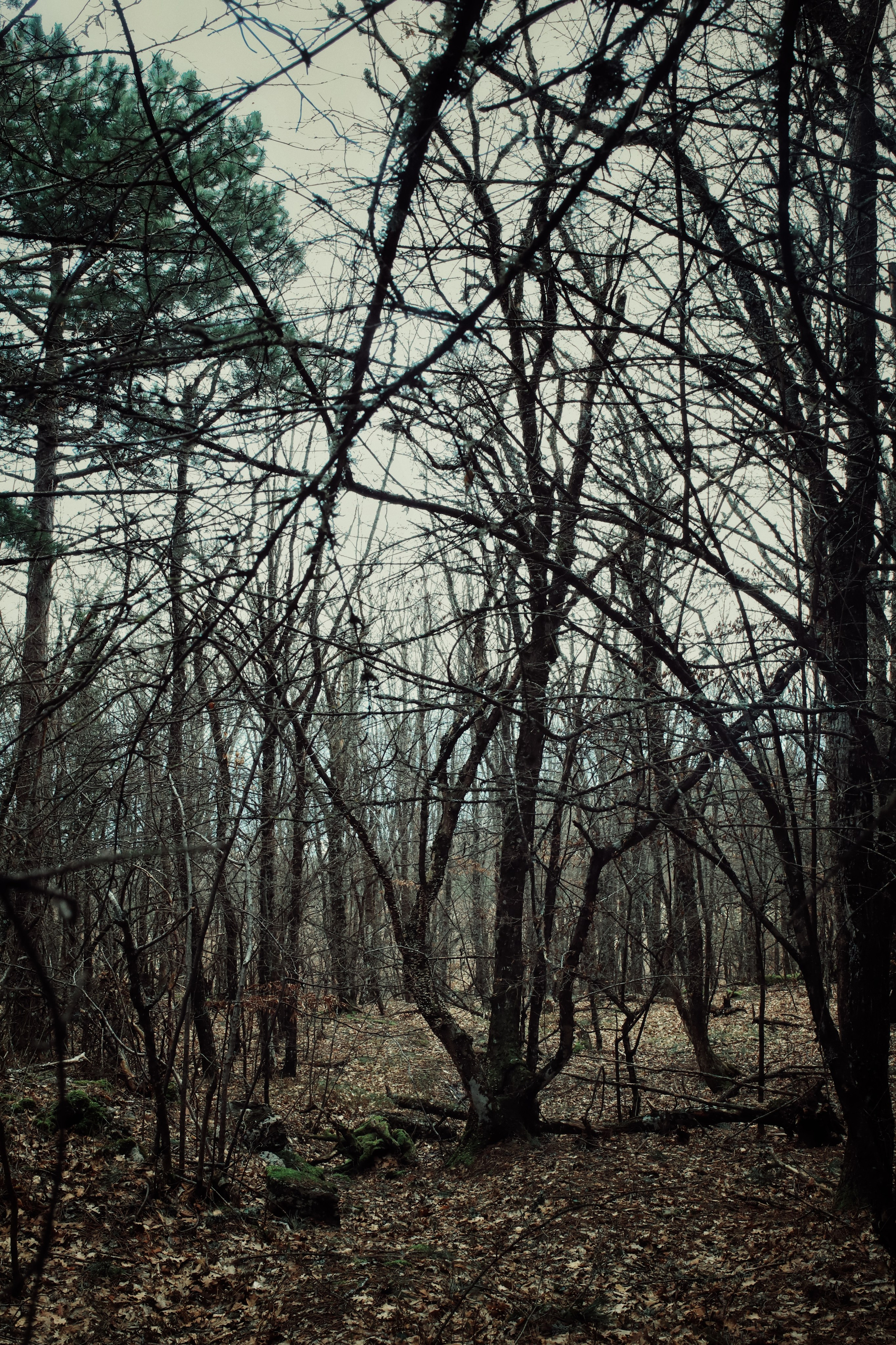 Бирюзовое озеро. Фотограф и видеограф в Санкт-Петербурге