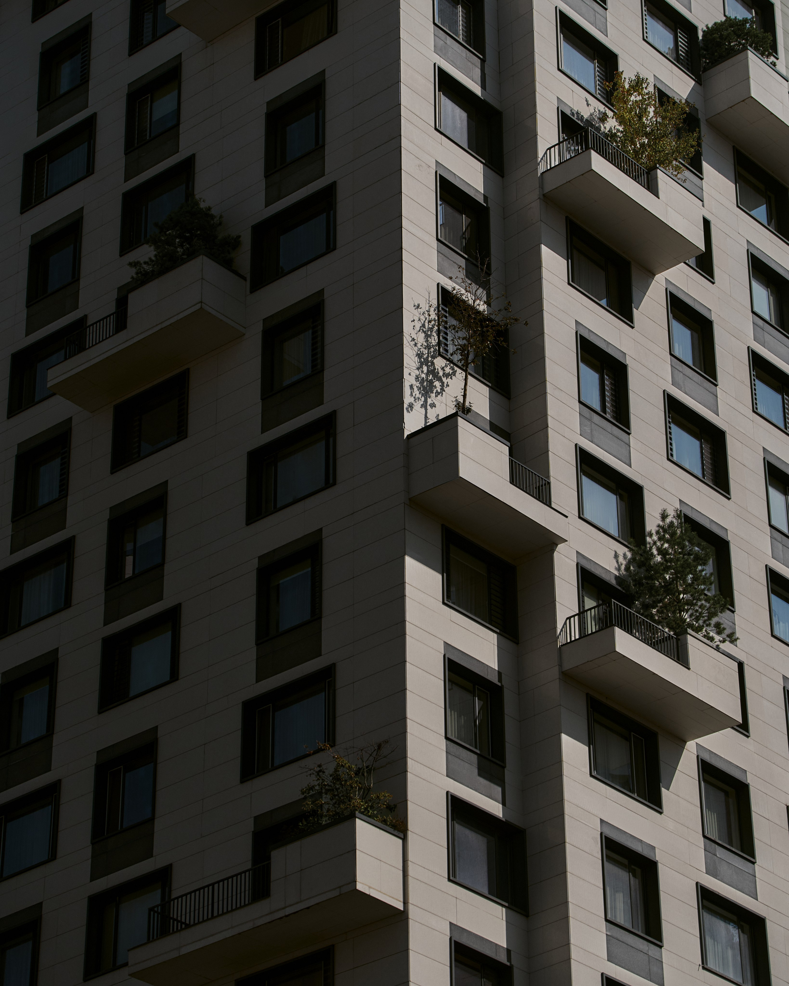 CORNUS. Фотограф Москва Сергей Громов