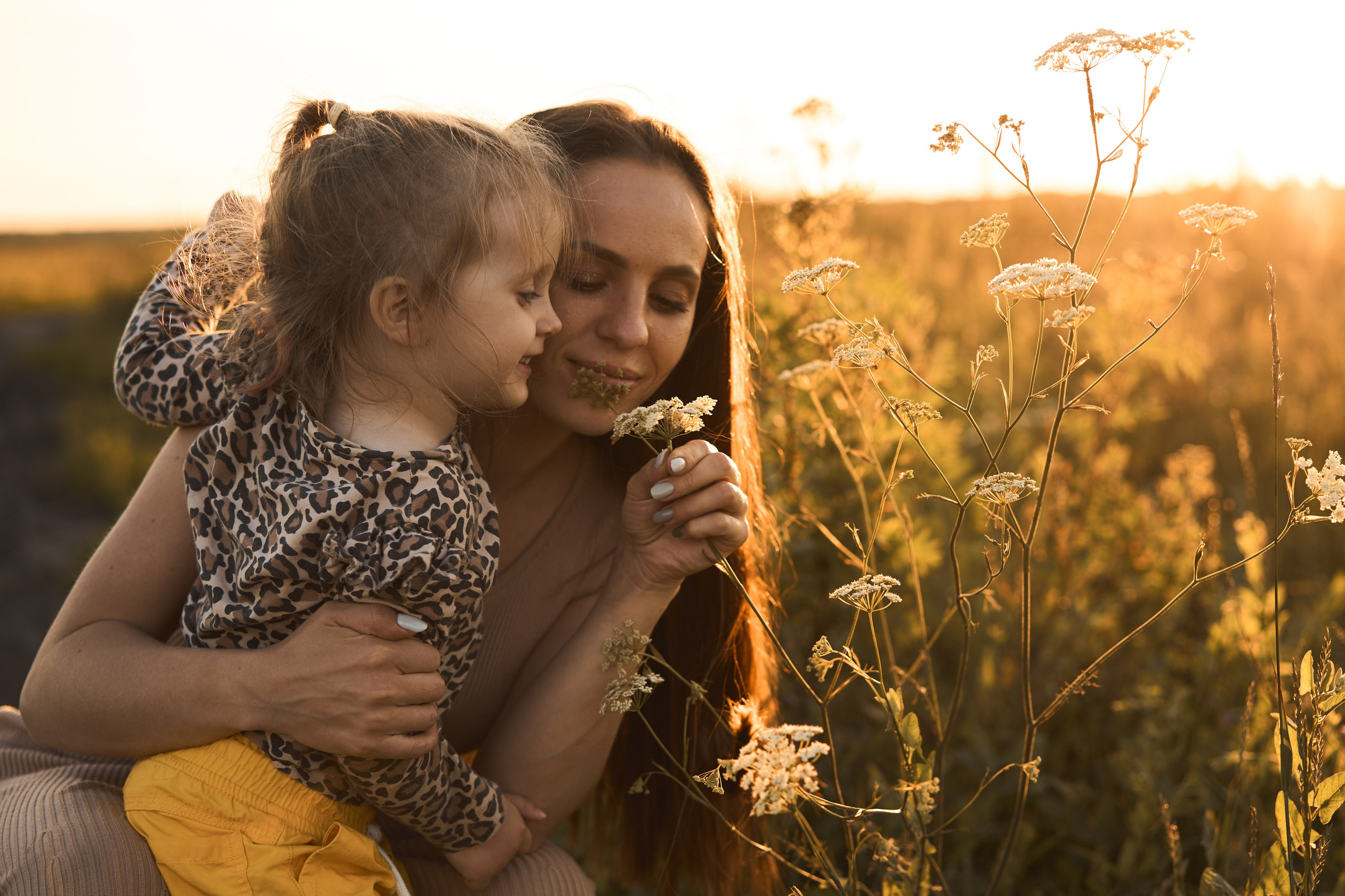 Семейная фотосессия на закате в поле😍. Фотограф Екатеринбург Кокшарова Александра