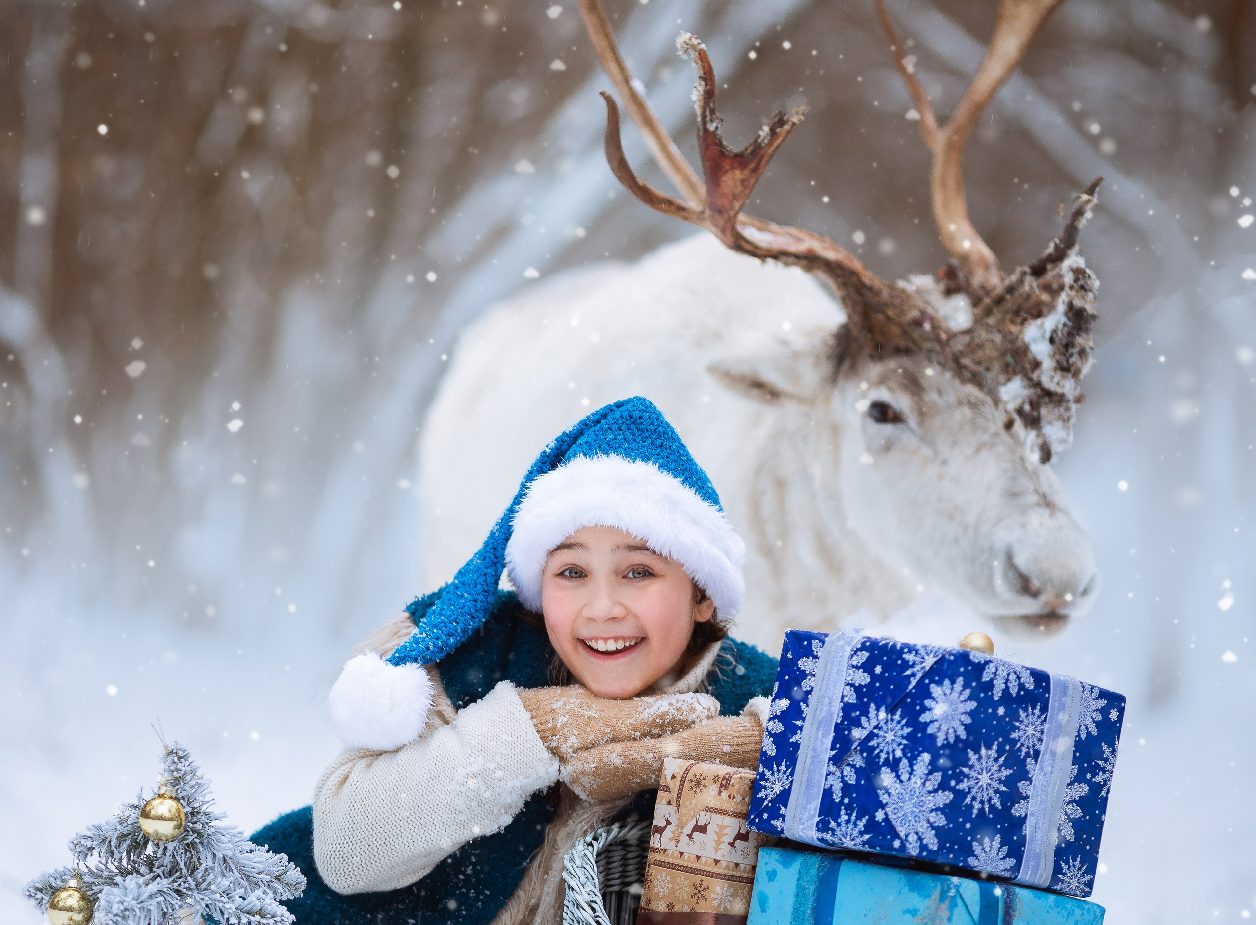 Фотосессия с оленями, Фотосессия с животными