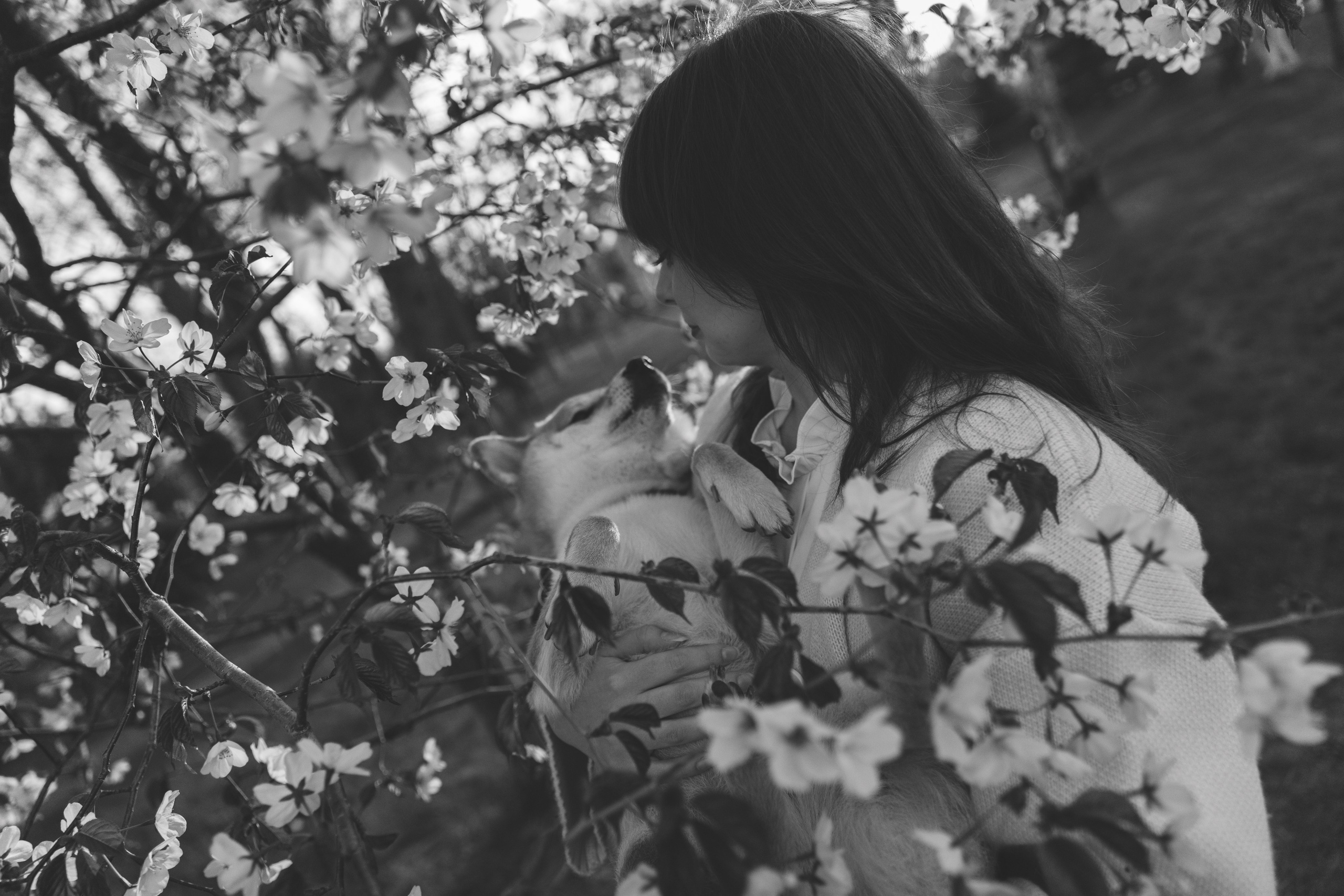 Анастасия и Тайра. Фотограф Южно-Сахалинск Сахалин Анастасия Тучина