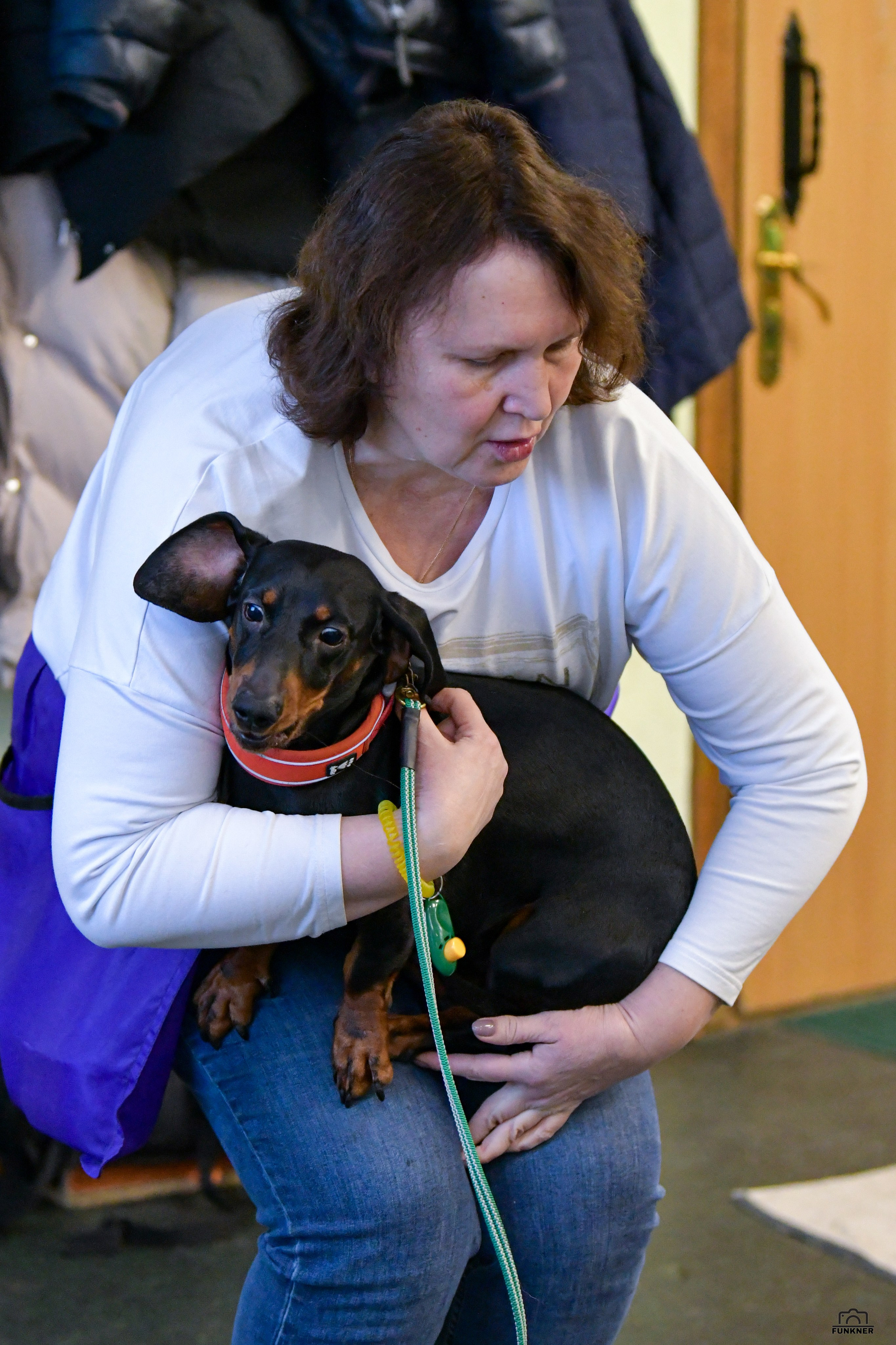 Кинологический клуб «Бодрый хвост». Свой взгляд через объектив