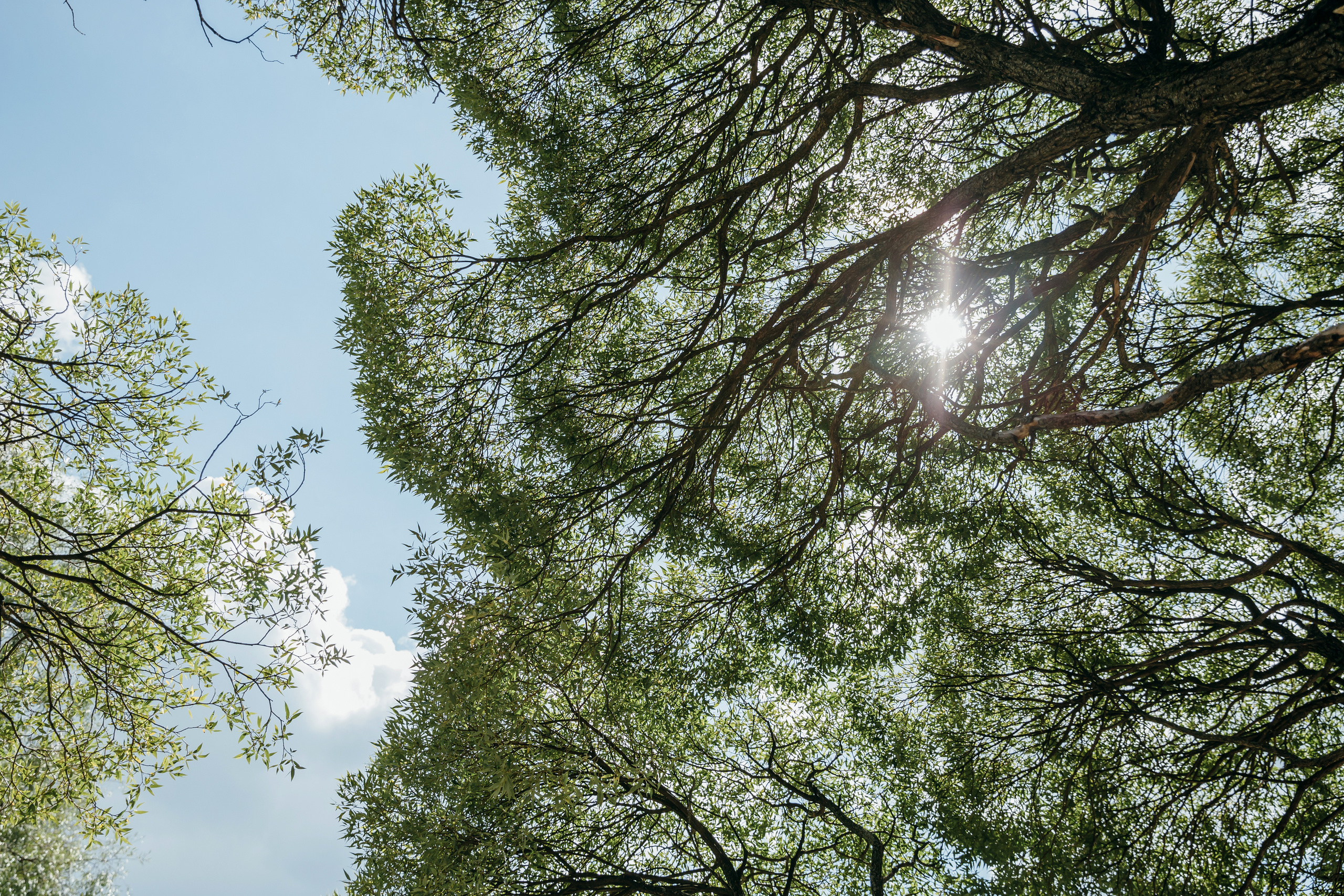 Лиза и Женя. Coach & photographer Anna Sushkova | Valencia, Spain