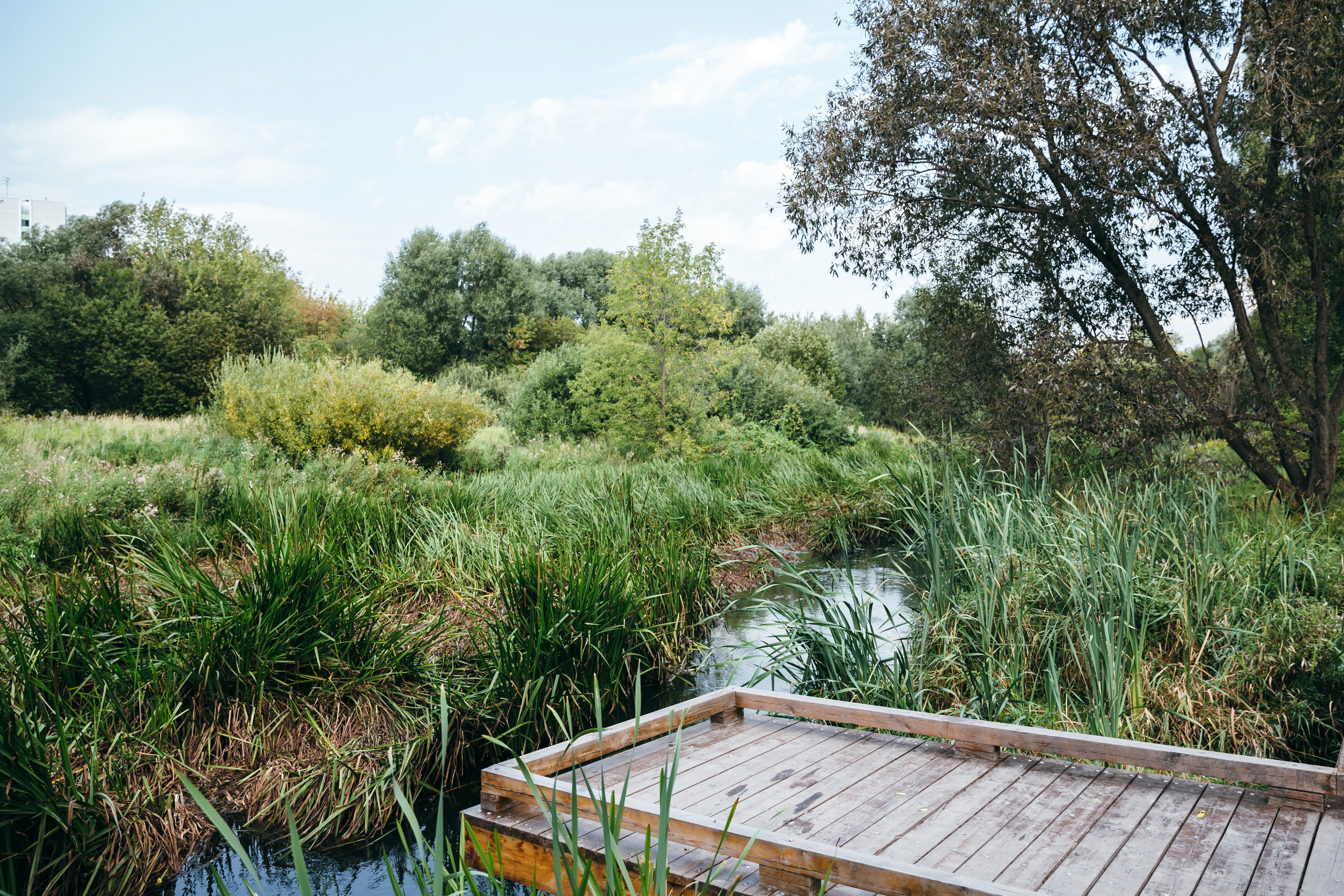 Надя, Виталик и Тёма. Coach & photographer Anna Sushkova | Valencia, Spain