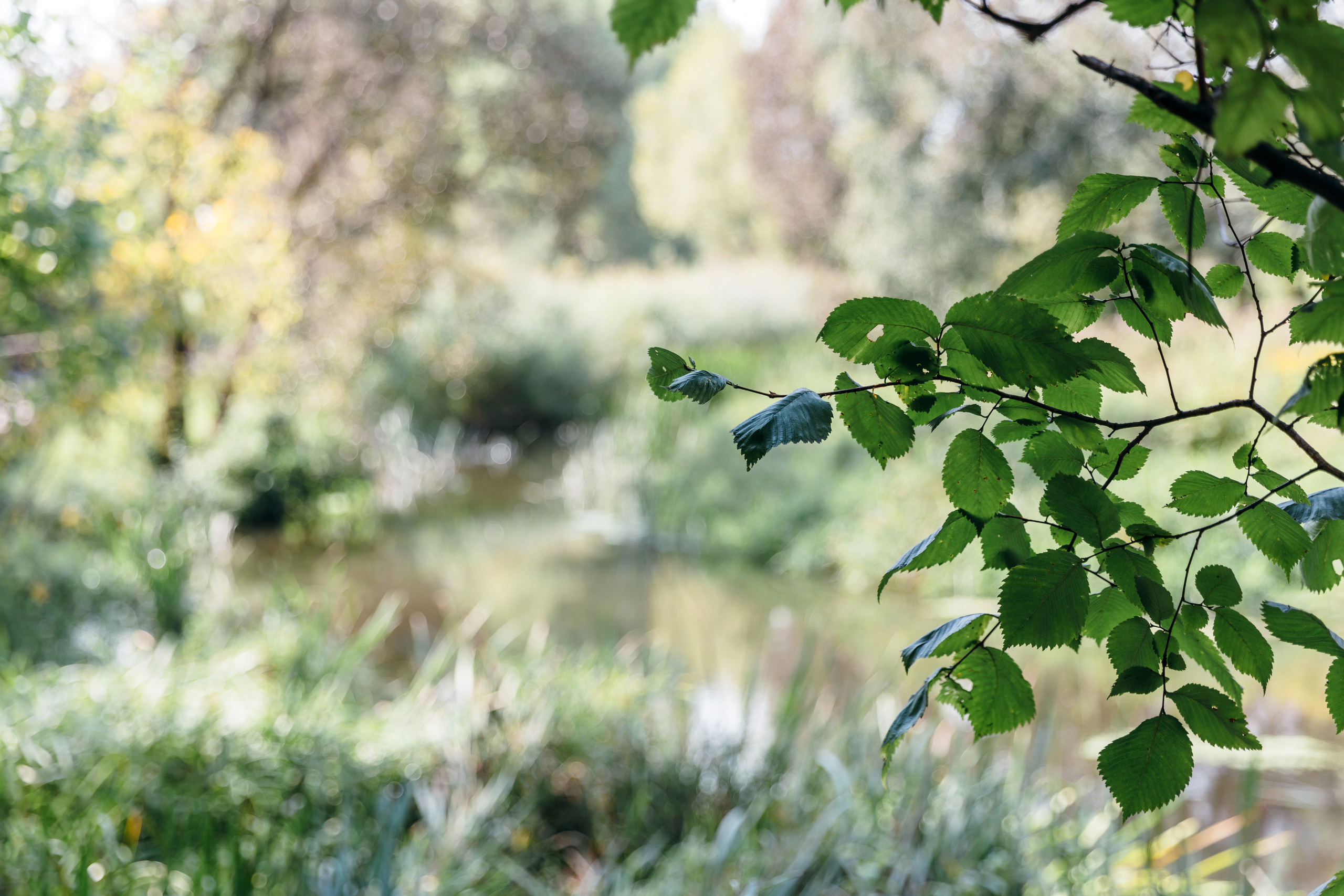 Надя, Виталик и Тёма. Coach & photographer Anna Sushkova | Valencia, Spain