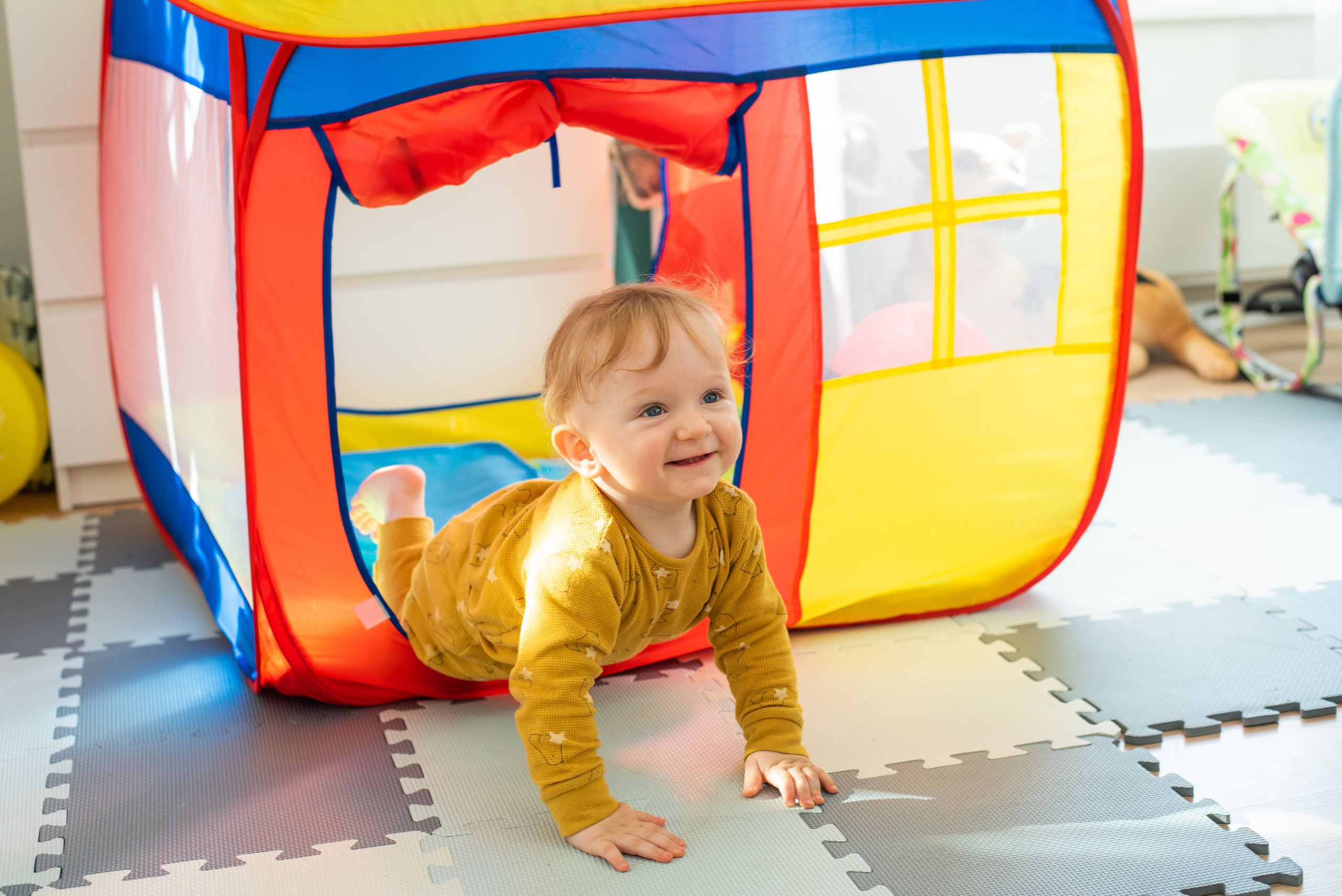 Домашняя съемка. Фотограф в Москве, Красногорске Анна Силицкая