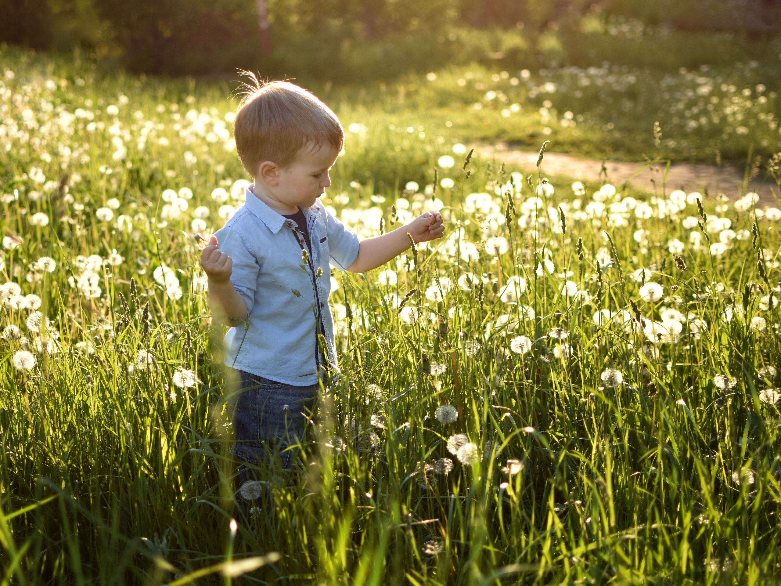 Детские съемки. Семейный фотограф в Красногорске и Лобне — Мария Бесштанькина | Семейные фотосессии