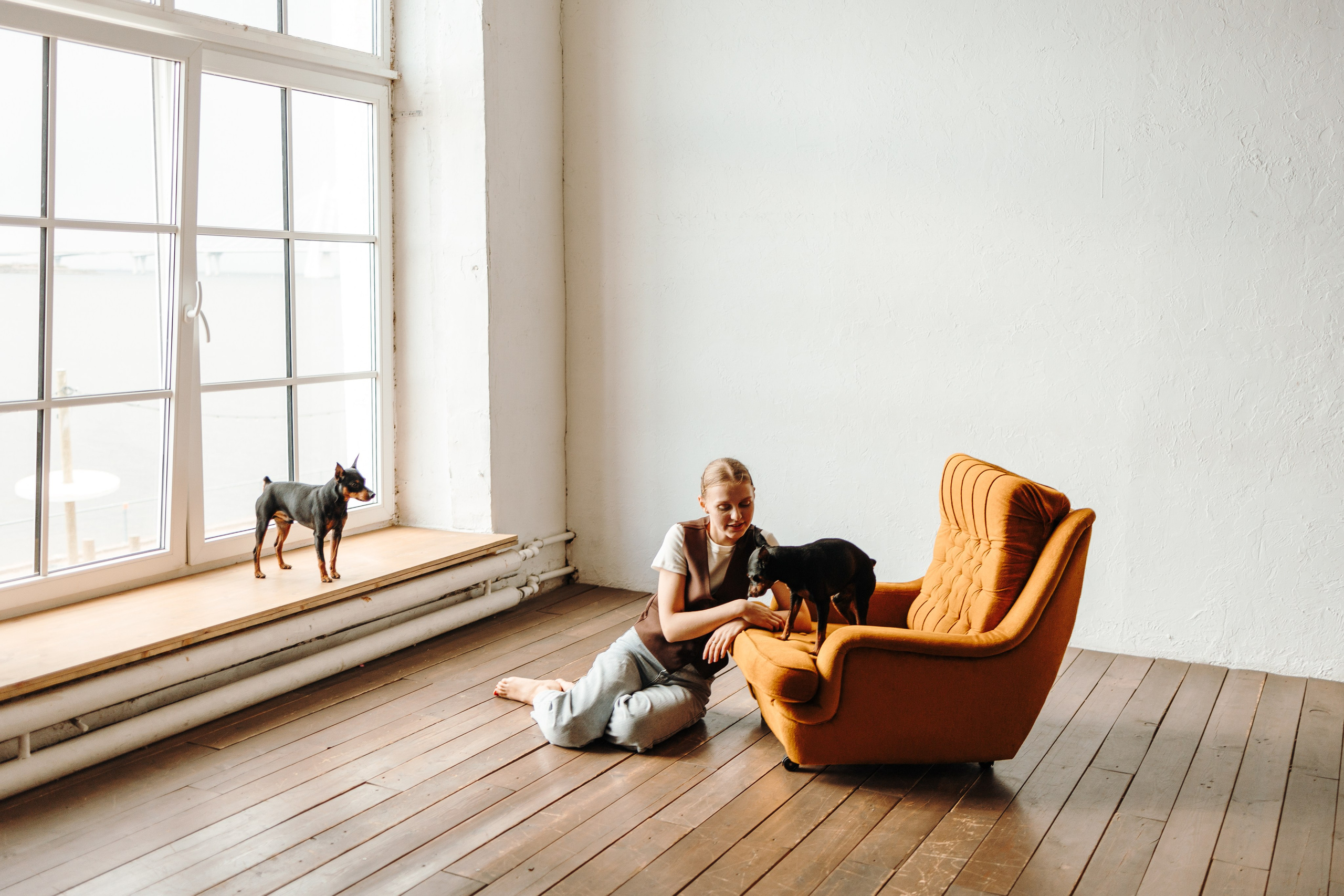 Катя и ее мальчики. Фотограф — Анималист | Санкт-Петербург