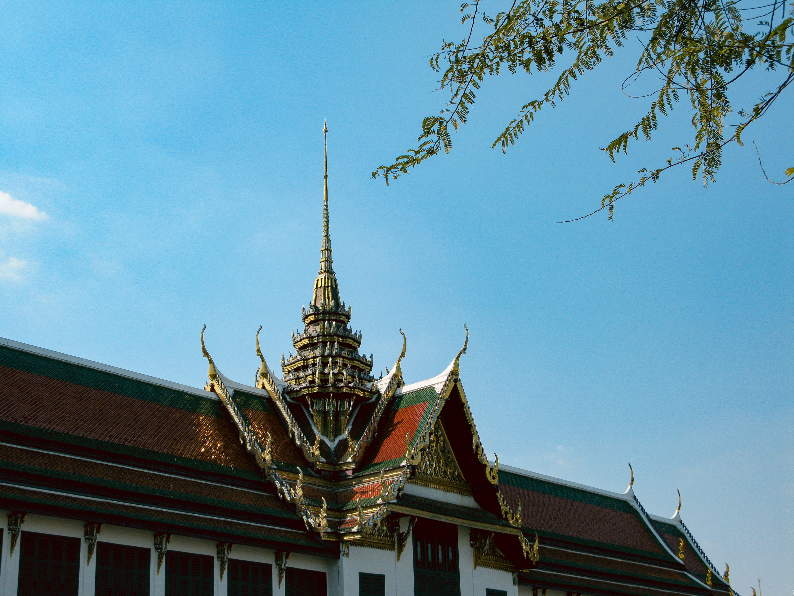 Thai. Фотограф Миланазавр