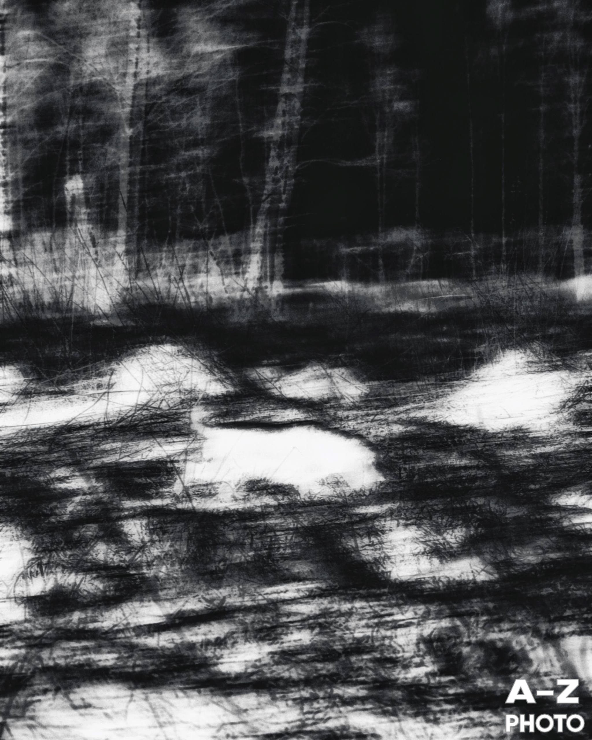 #ФОТОНЕДЕЛИ 20.04.2026. Женский семейный фотограф Тула Москва Захарова Анна