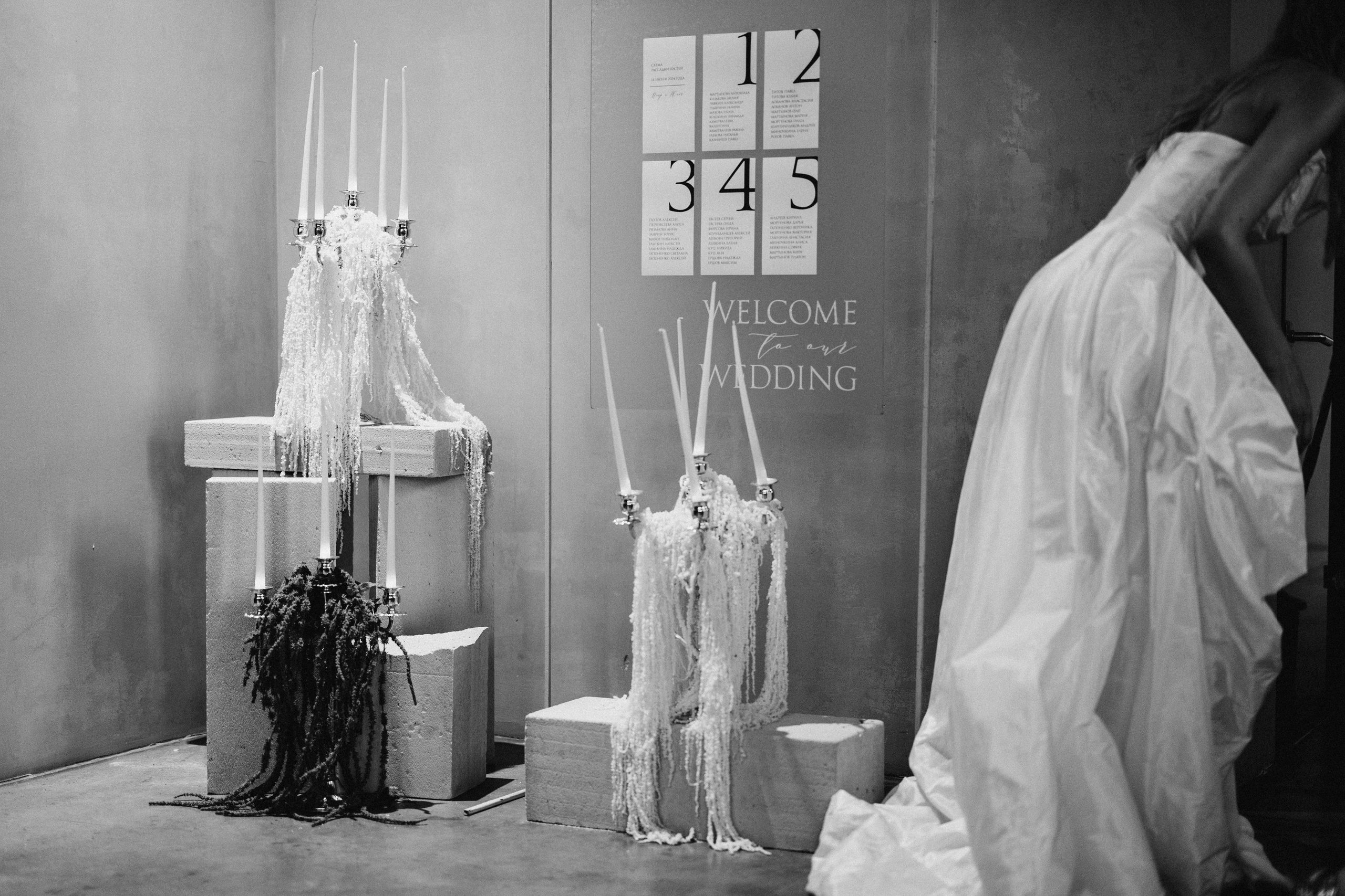 Dandelions. Daria Chigintseva Photographer